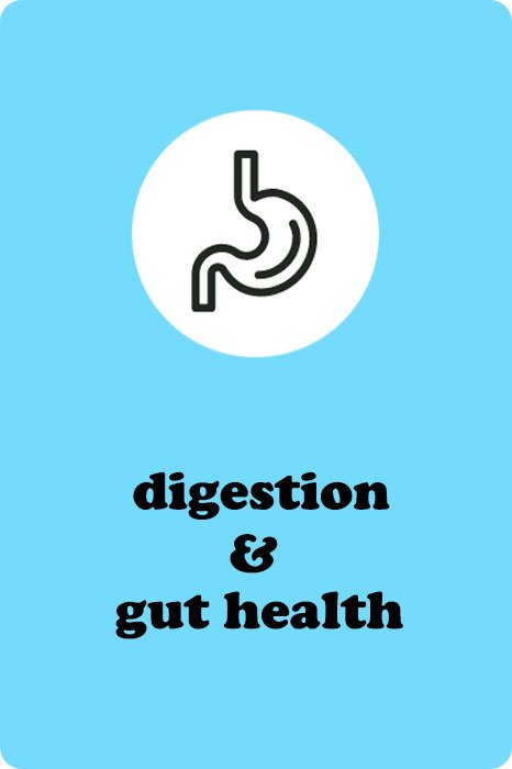 digestion.jpg