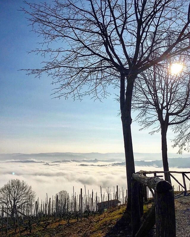A sea of nebbia across the Barolo valley with the castles of Castiglione Falletto and Serralunga d&rsquo;Alba popping above the clouds. #italy #piemonte #langhe #novello #lamorra #serralungadalba #castiglionefalletto #nebbia #barolo #villagesofitaly 