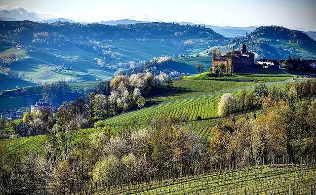 Spring in the Langhe - Barolo castles in the greening landscape. The original, Castello della Volta, sits looking over the newer Castello di Barolo which is located in the centre of the village of Barolo. #spring #italy #piemonte #langhe #novello #la