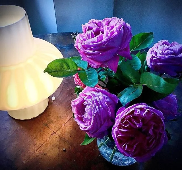 Roses cut from an amazingly resilient rose bush in our garden. Somehow it has managed to survive years of neglect, builders and their equipment and soil jam-packed with rubble. I am definitely enjoying developing the garden and bringing it back to li