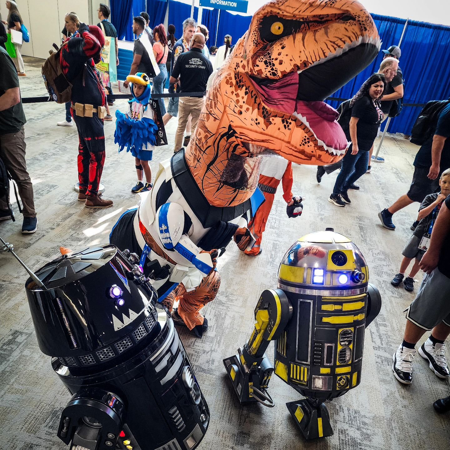 Where my fans at? Captain  ____fill in blank____ and 2D and QD !

#r22d #rd2d #2d #qd #artooqdee #artootoodee #droid #droidbuilder #astromechdroid #astrodroid #sdcc24 #sdcc2024 #r5 #r2 #boopbeep #clonewars #captainrex #clone #starwars