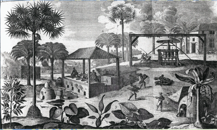  Sugarcane Plantation like those that dominated the Barbadian landscape in the 18th century / Courtesy of the William L. Clements Library, University of Michigan 