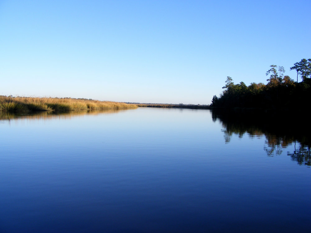 View of the Ashley River