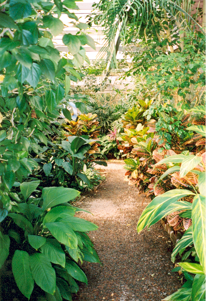   The Barbados Tropical Garden greenhouse exhibit contains plants native to Barbados, the original home of Thomas Drayton, the first owner of the plantation / Public domain / Photo by Kellie Thorne of NSBO  
