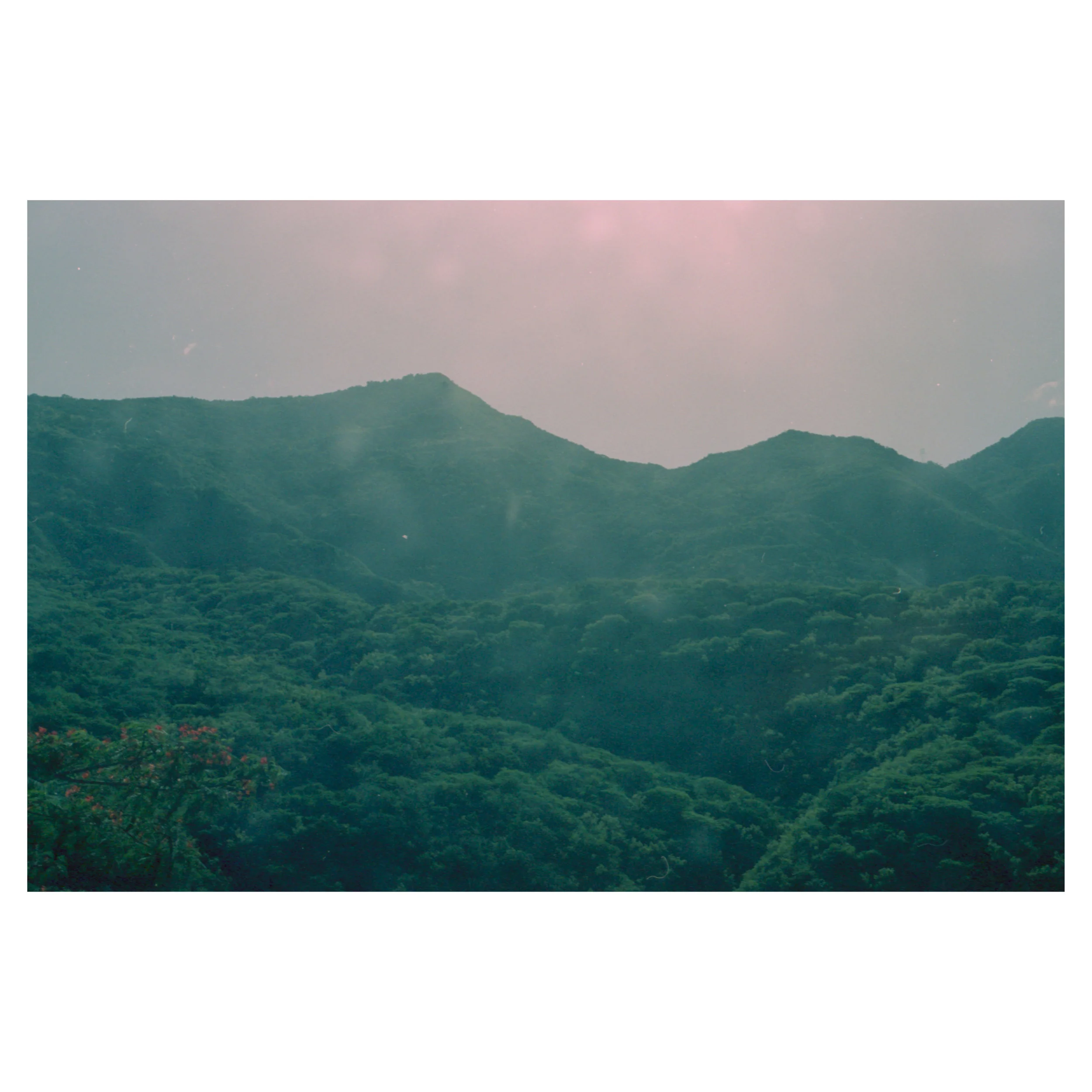 Caribbean_HP2_11.jpg