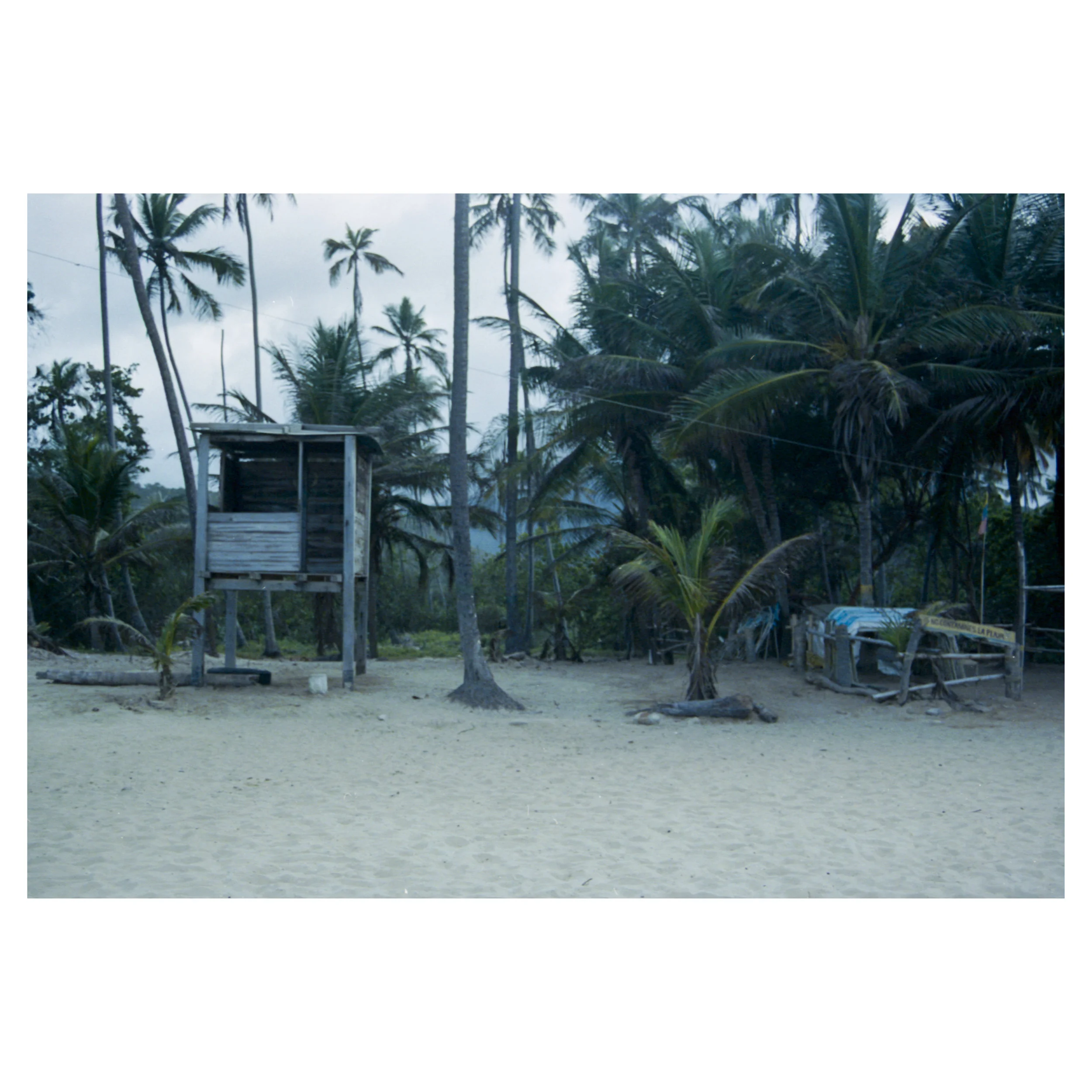 Caribbean_HP2_18.jpg