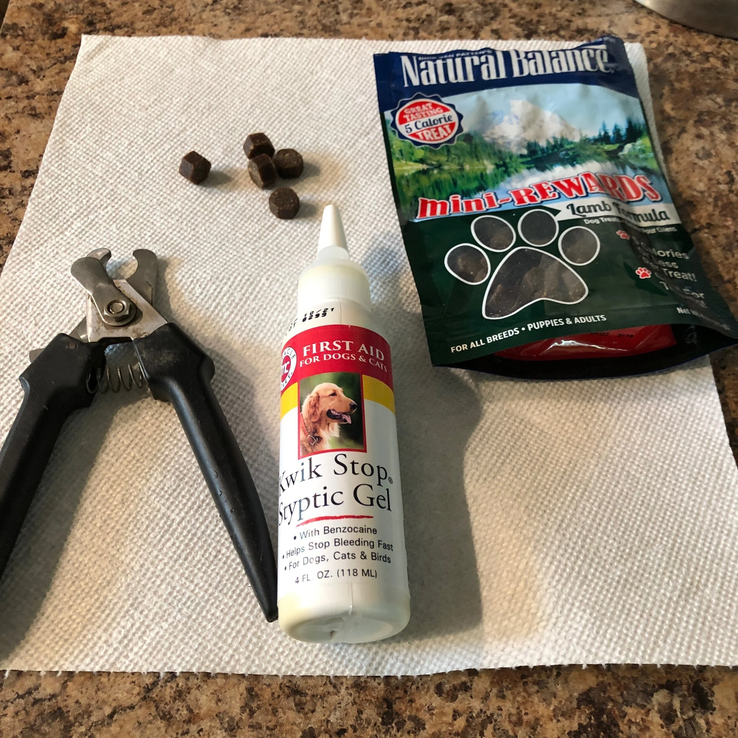 Clipping your dogs toe-nails