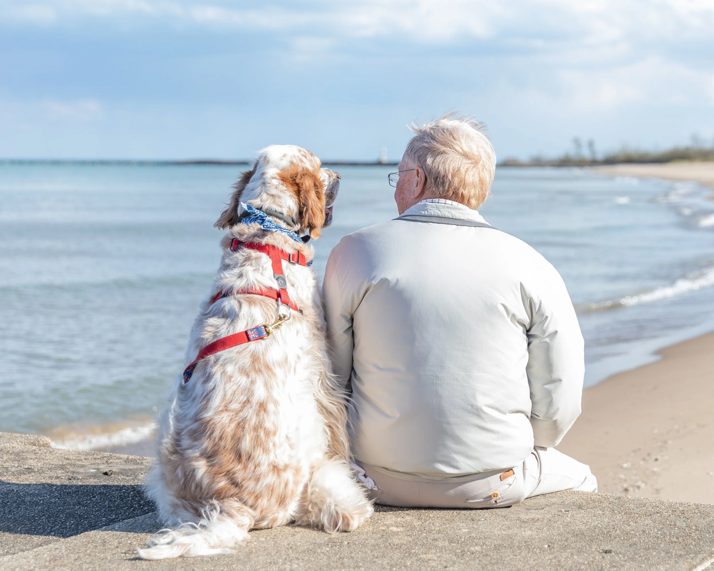 Pets Are Family Too: How to Include Them in Your Family Session