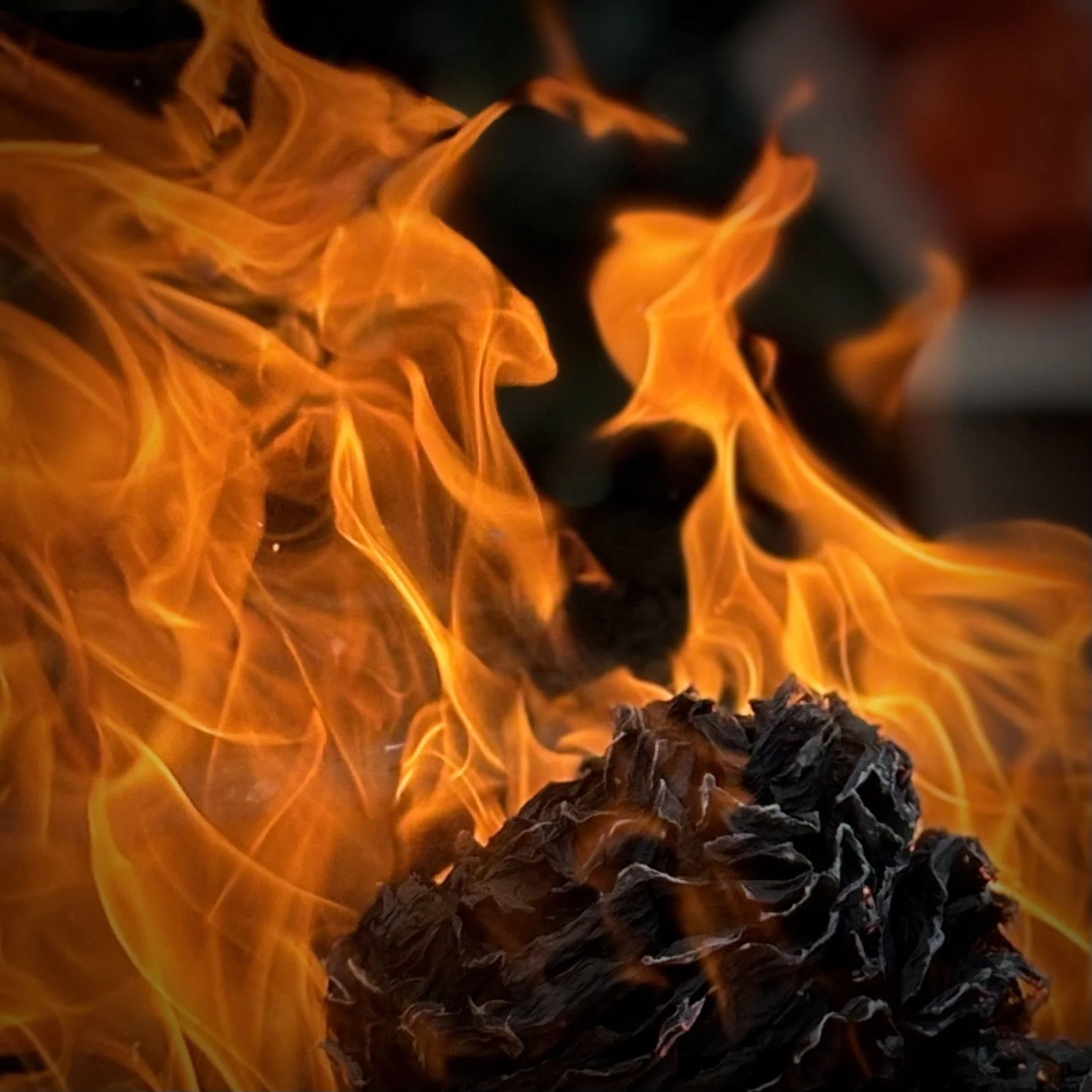 FREE  Altar Closing + Ceremonial Fire