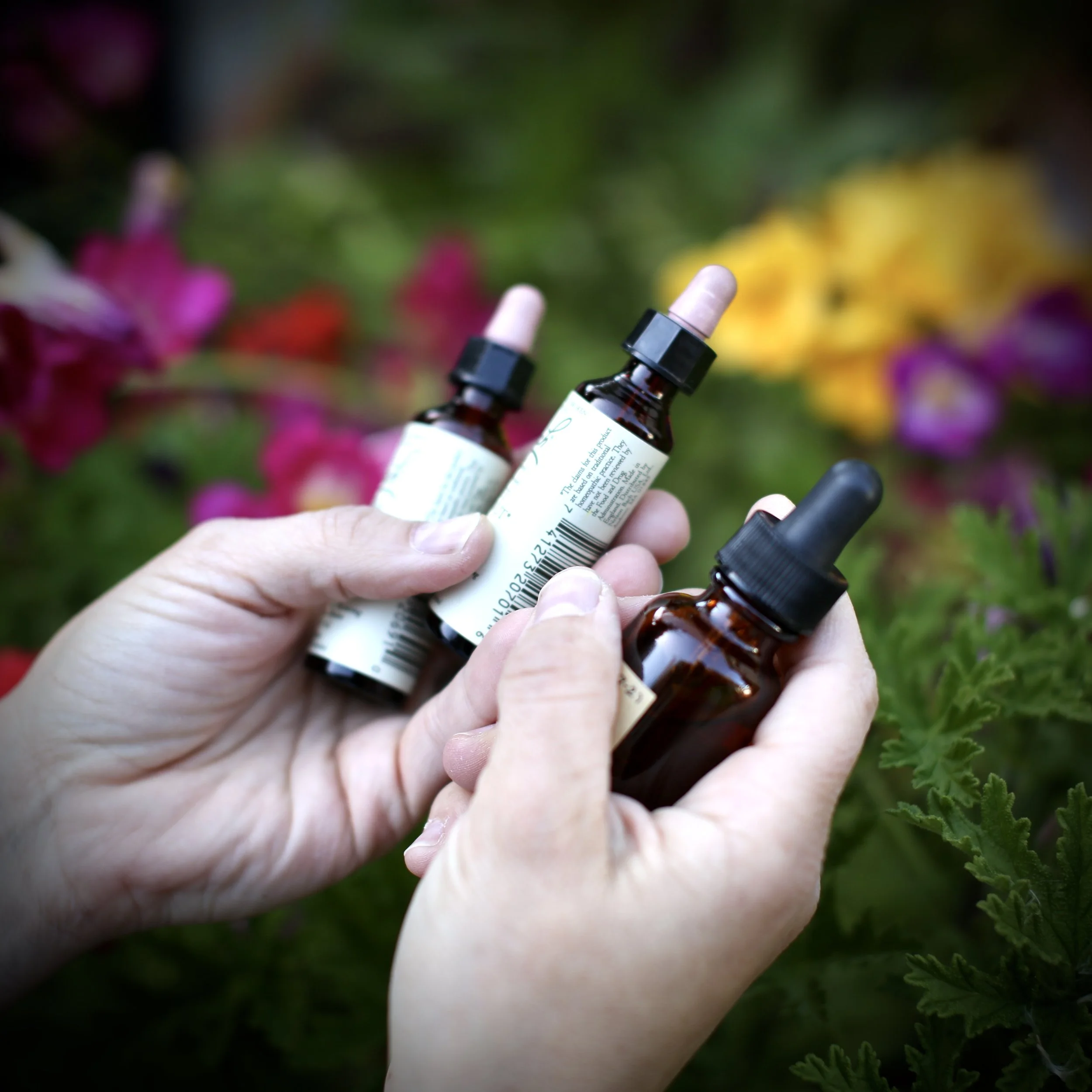 OPEN APOTHECARY: Summer Solstice Seasonal Magic