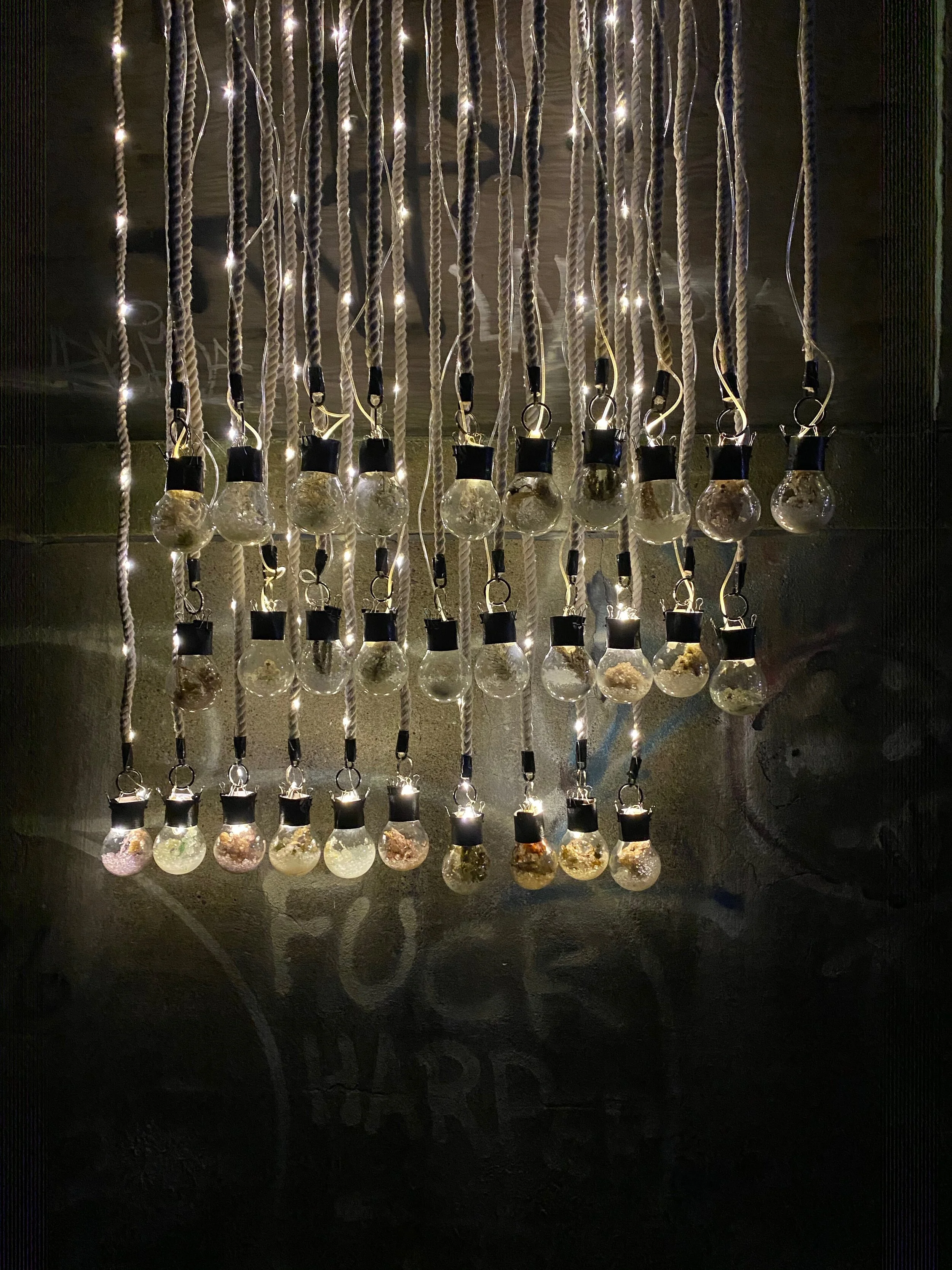 Salt Crystal Chandelier.jpeg