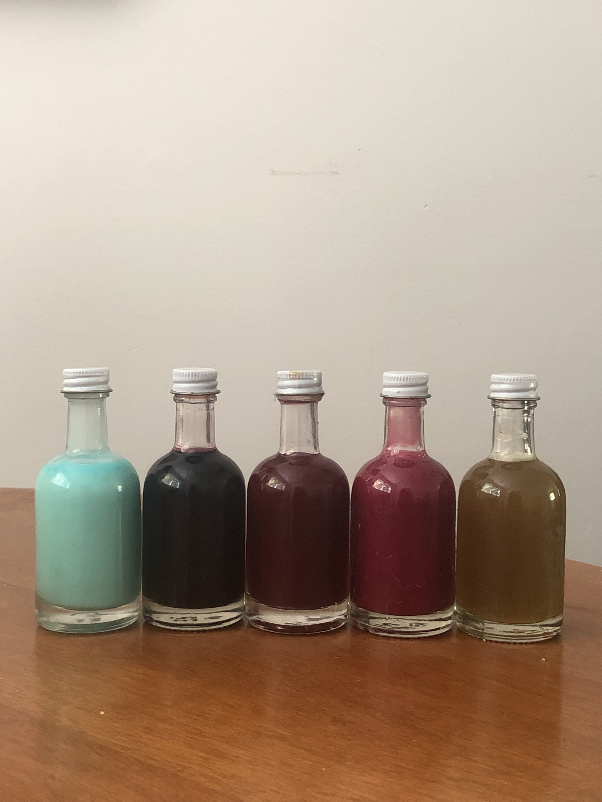 A variety of foraged inks.jpeg