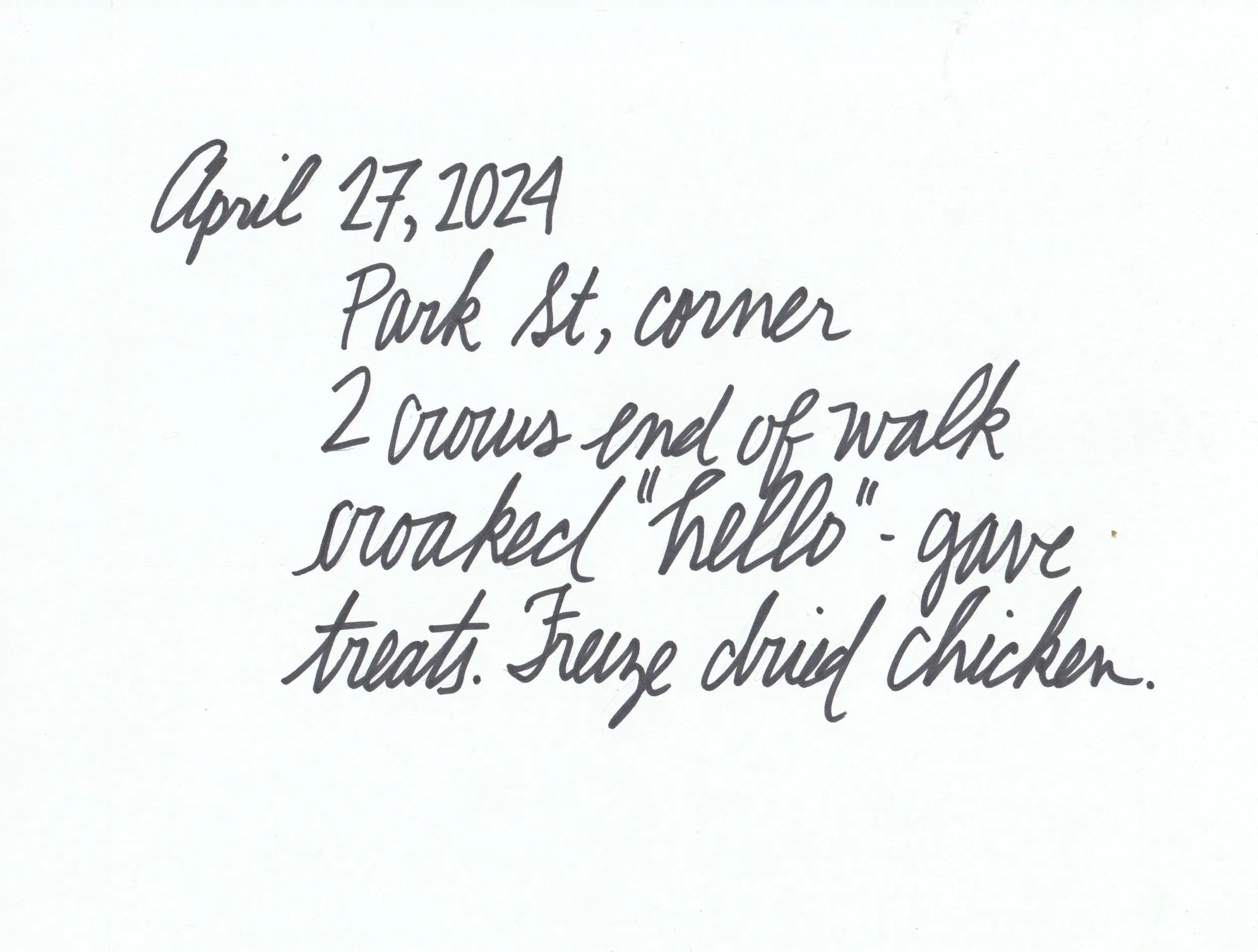 Crow journal entry.jpeg