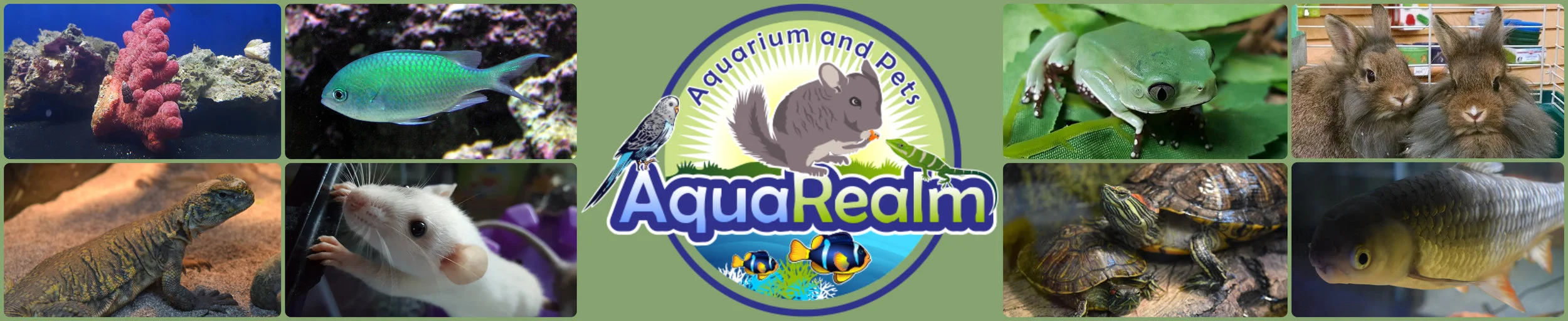 AquaBanner2.jpg