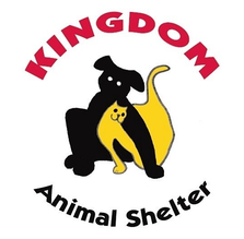 6325500.png
