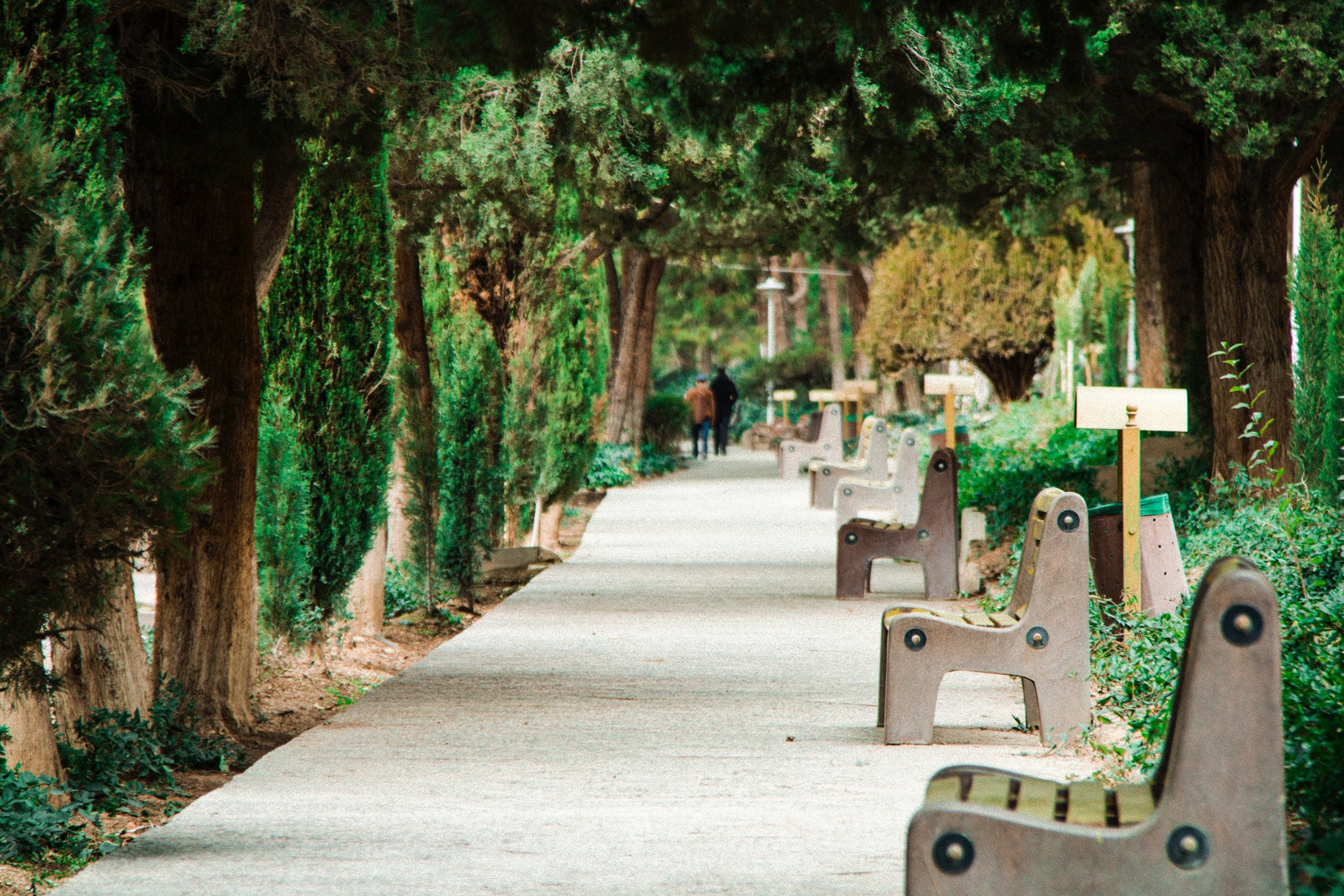 Increased shading and evapotranspiration from trees cleans air and keeps sidewalks more comfortable for pedestrians, and can collectively cool entire urban areas.