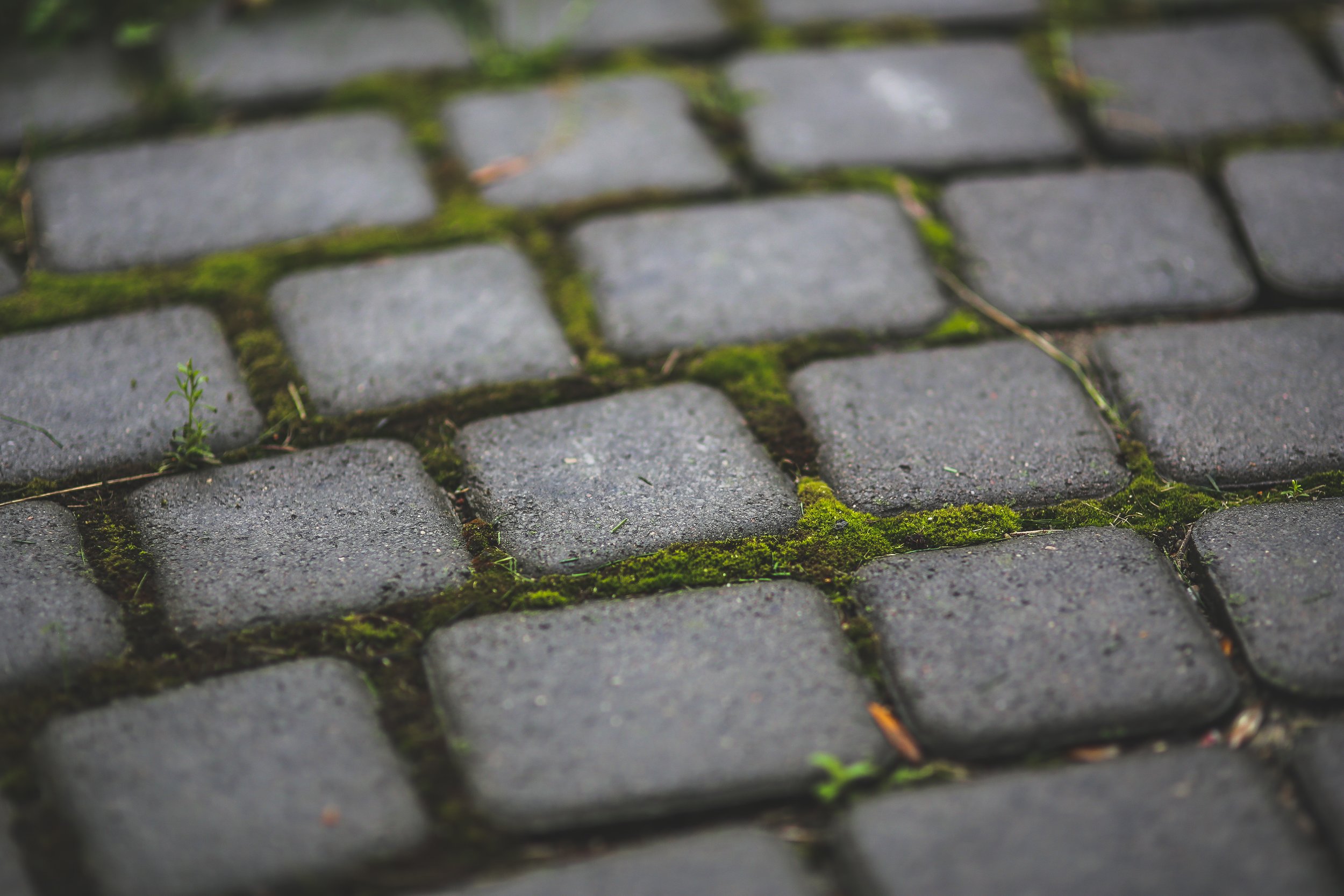 Sidewalk and street pavers that are more porous than traditional pavement reduce stormwater runoff and associated pollution and flooding risk.
