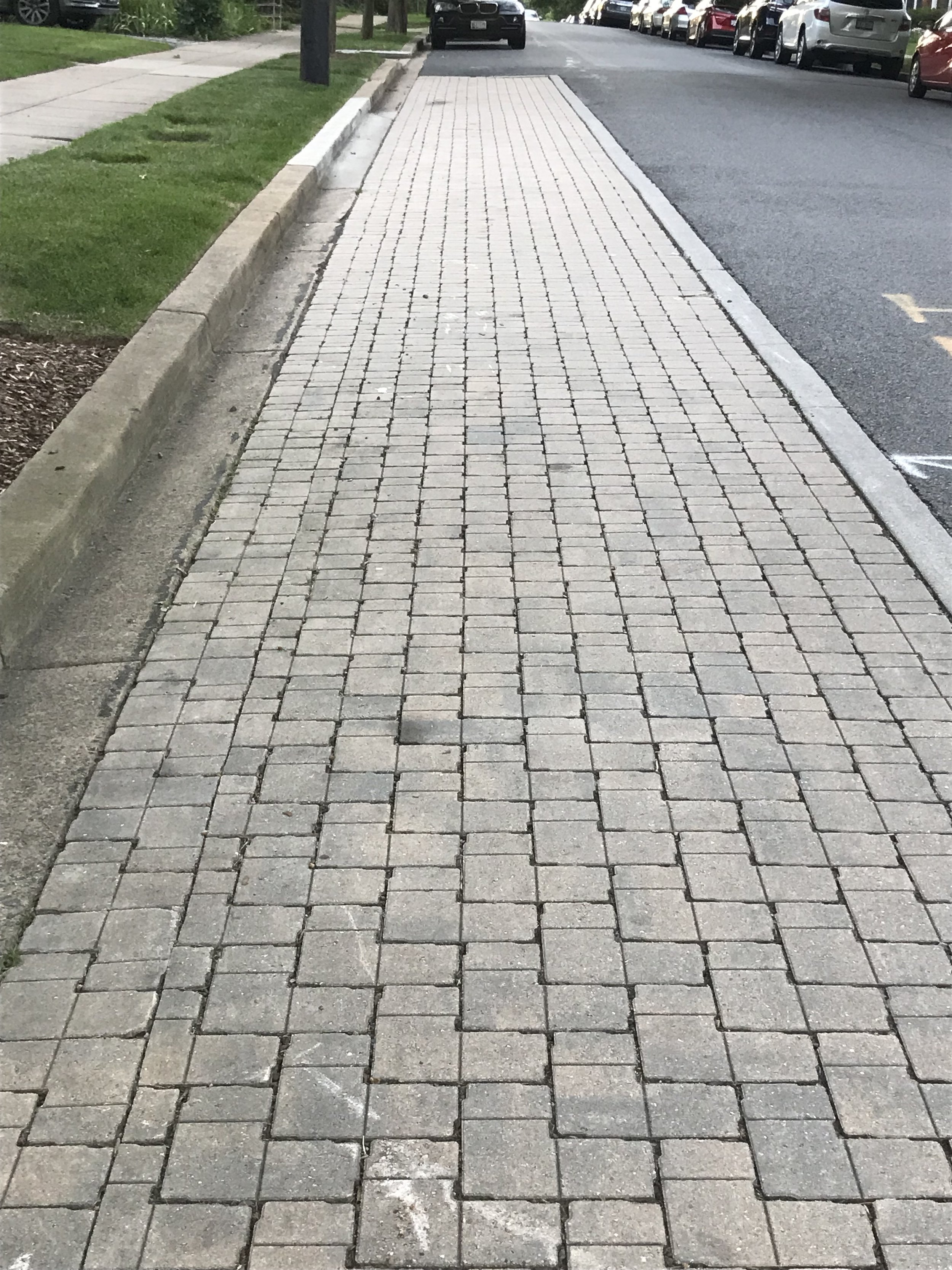 Porous, higher albedo pavers alongside streets absorb rain that runs off impervious pavement, reducing flood risk and water pollution.