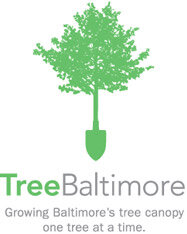 Tree Baltimore Logo