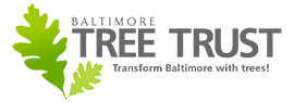 Baltimore Tree Trust Logo