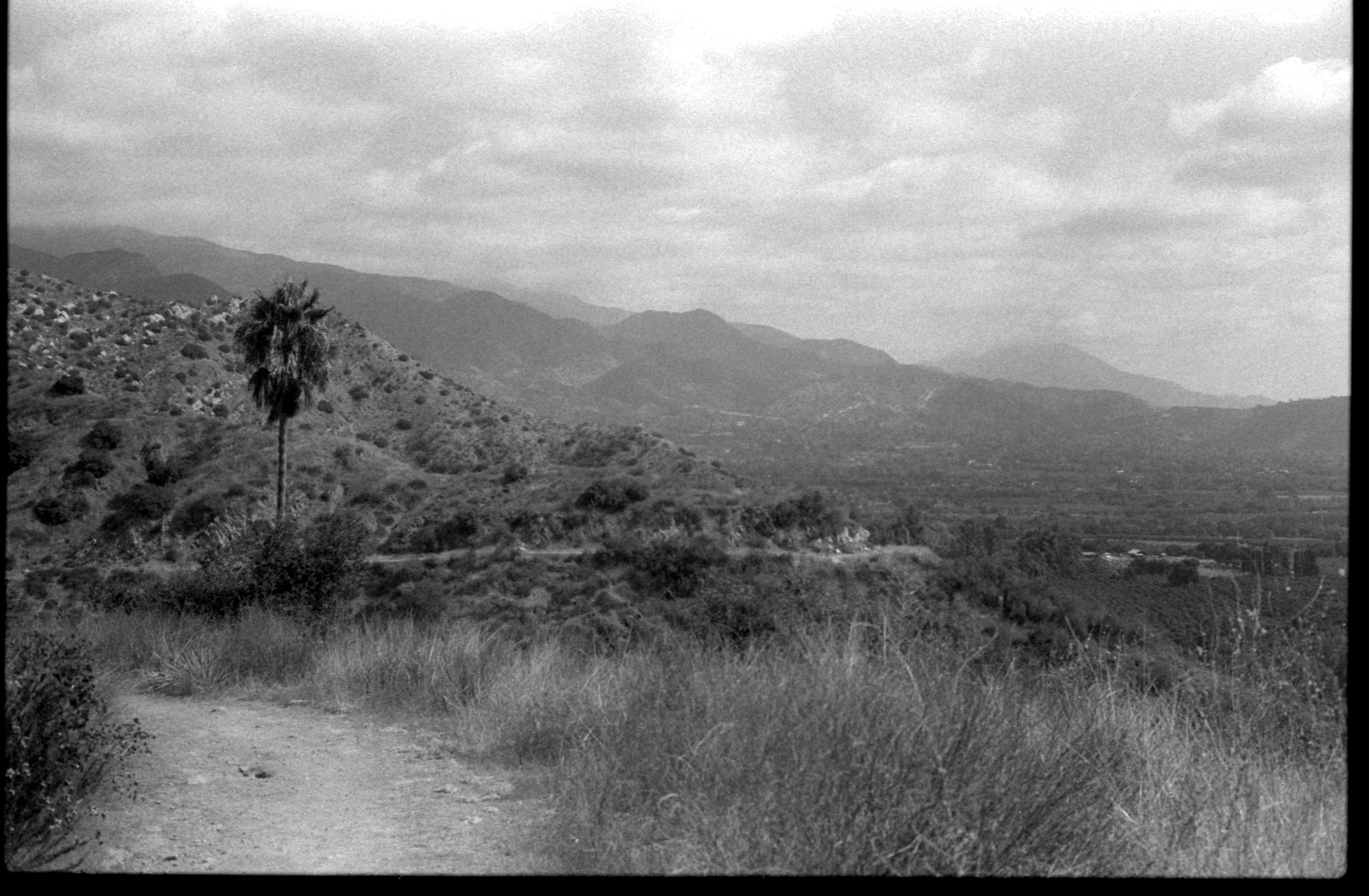 9-12_23tri-xpan.03 copy.png