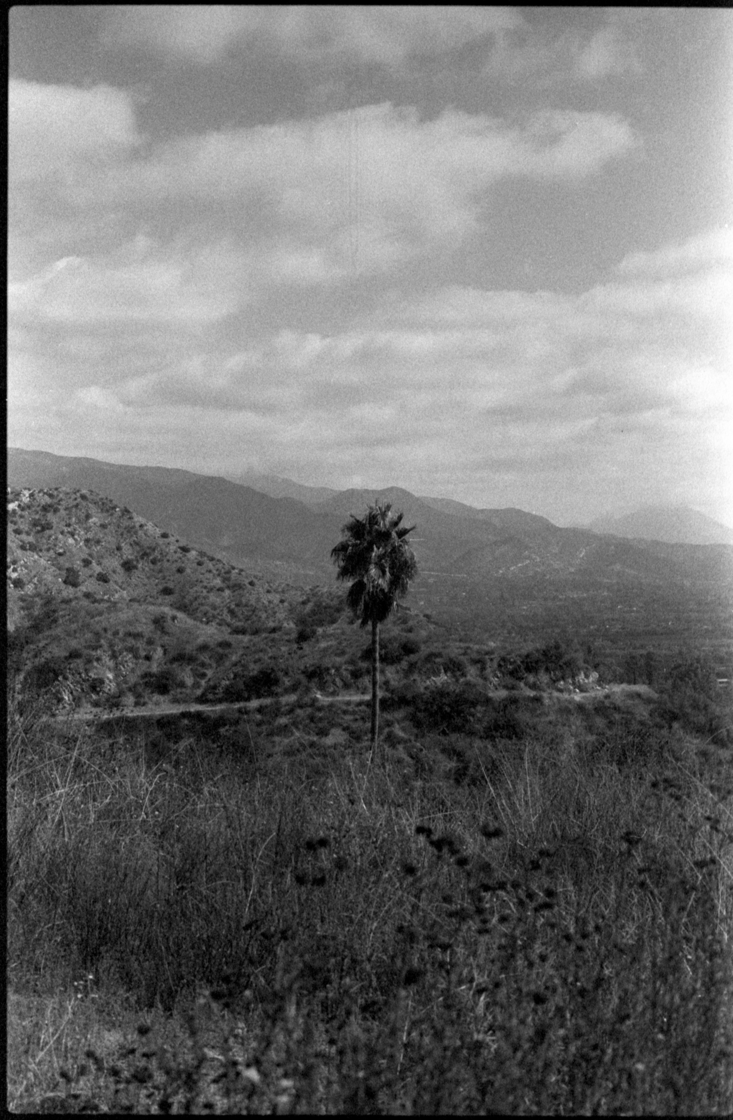 9-12_23tri-xpan.06 copy.png