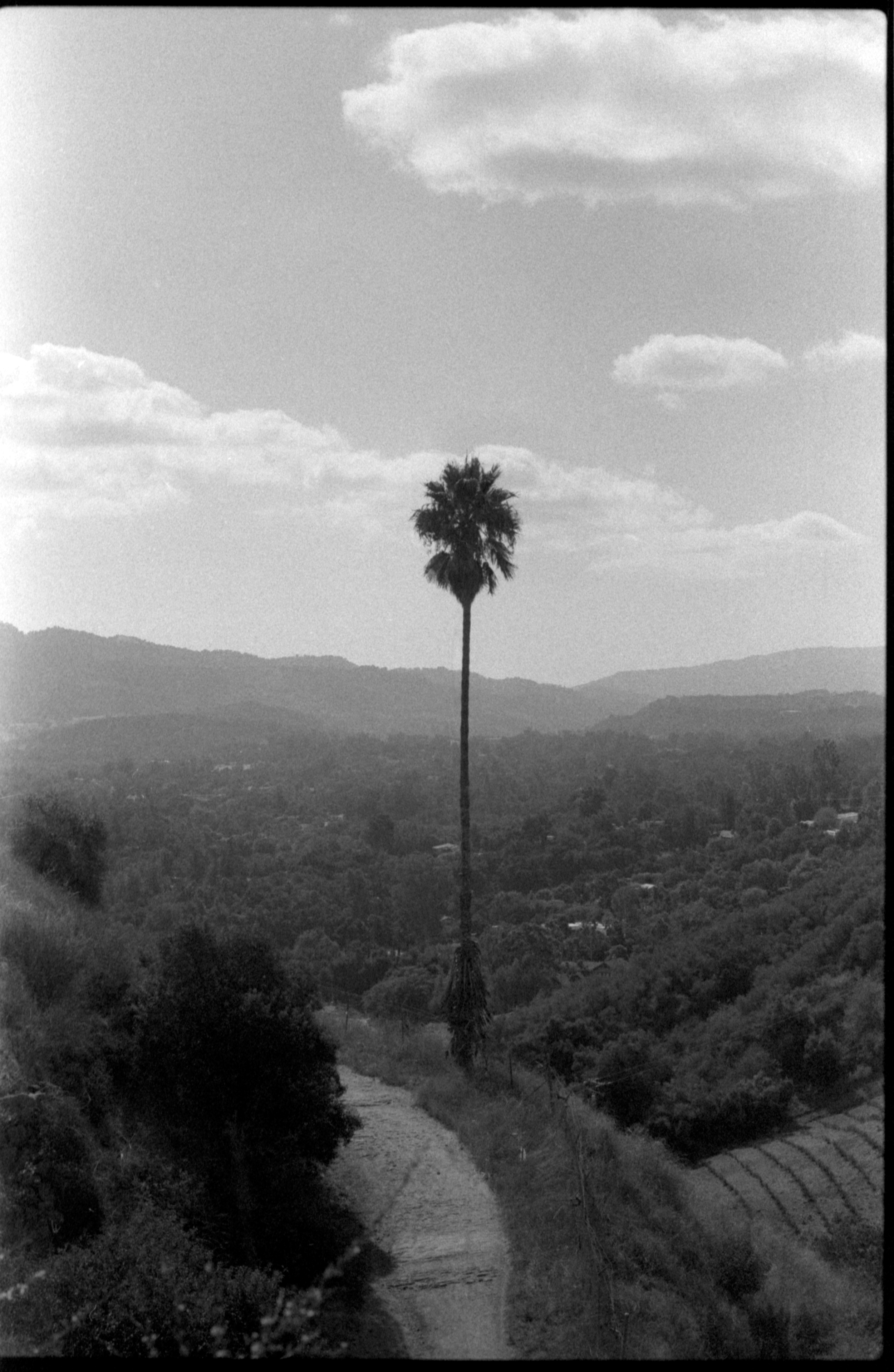 9-12_23tri-xpan.08 copy.png