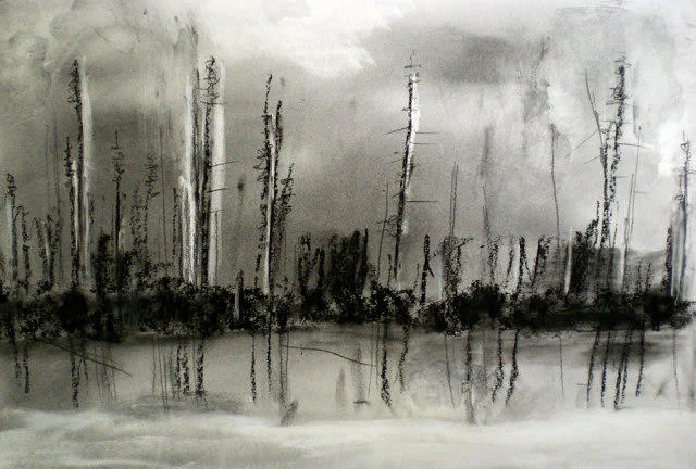 Burned wood