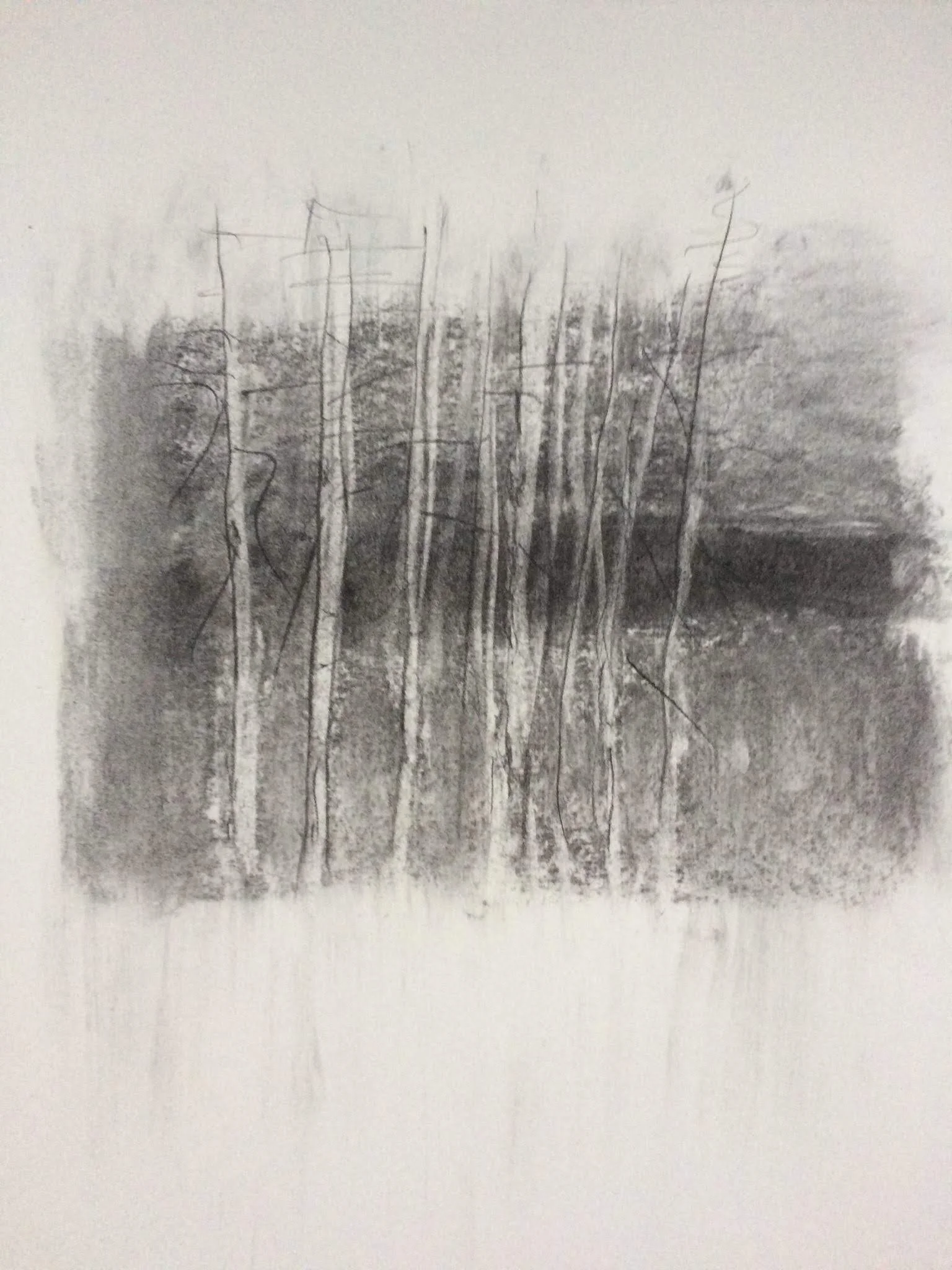 Naked Trees