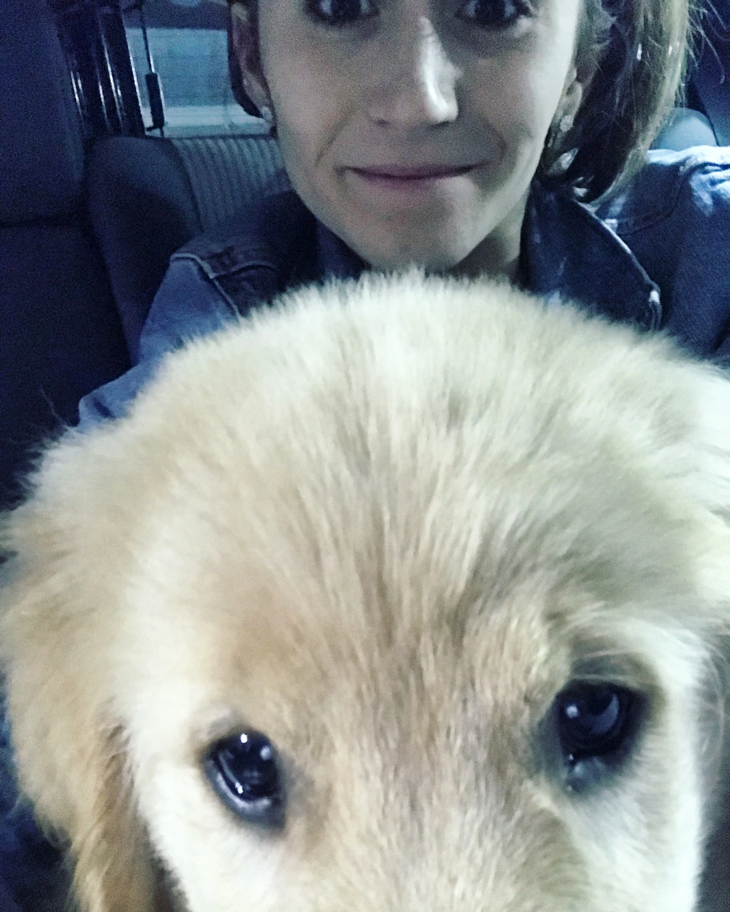 after a week home for my grandmother’s funeral, Heading back to our empty nyc apartment with my brand new pup and swollen eyes.