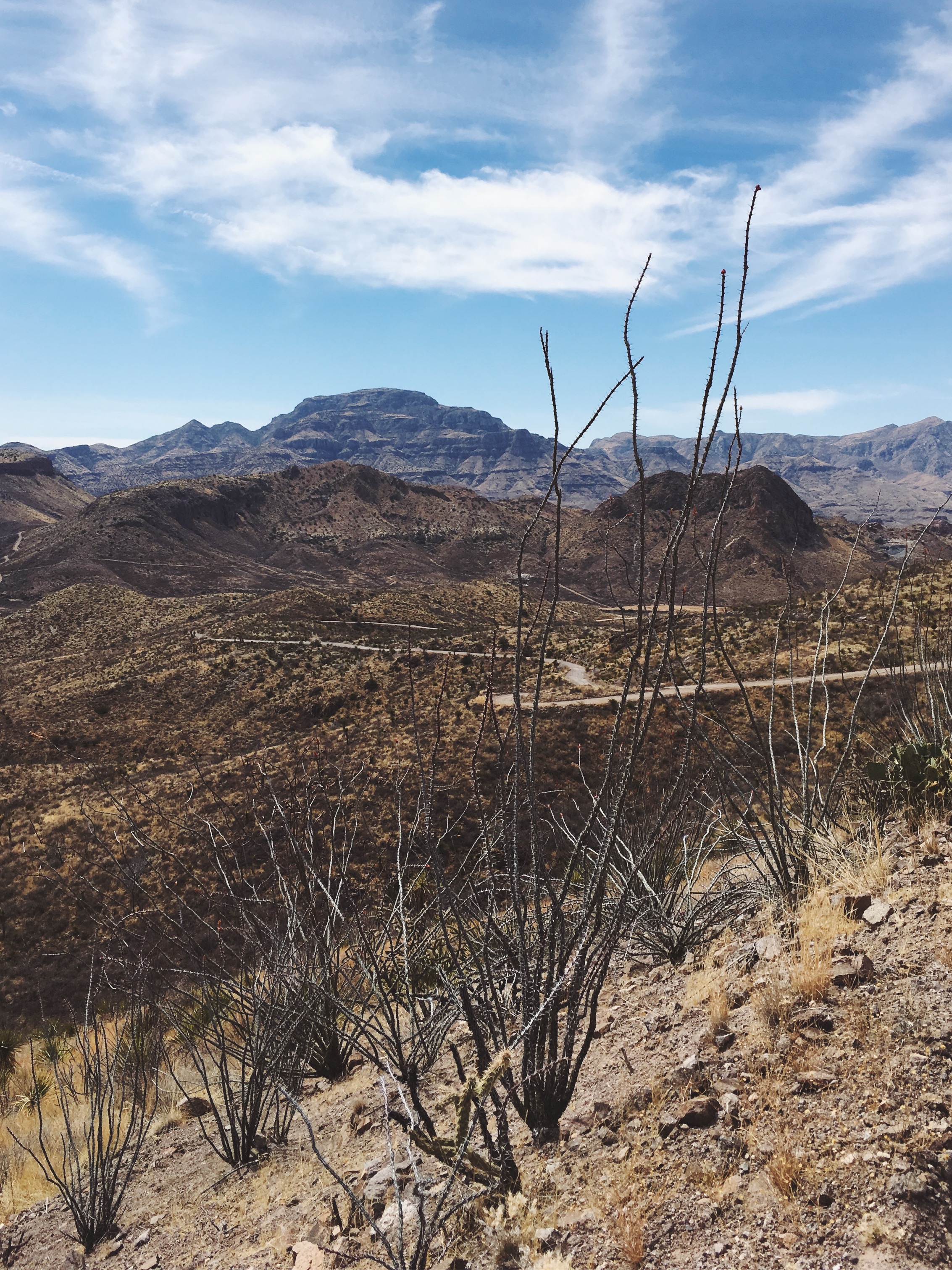 Pinto Canyon, TX • 3.16.18