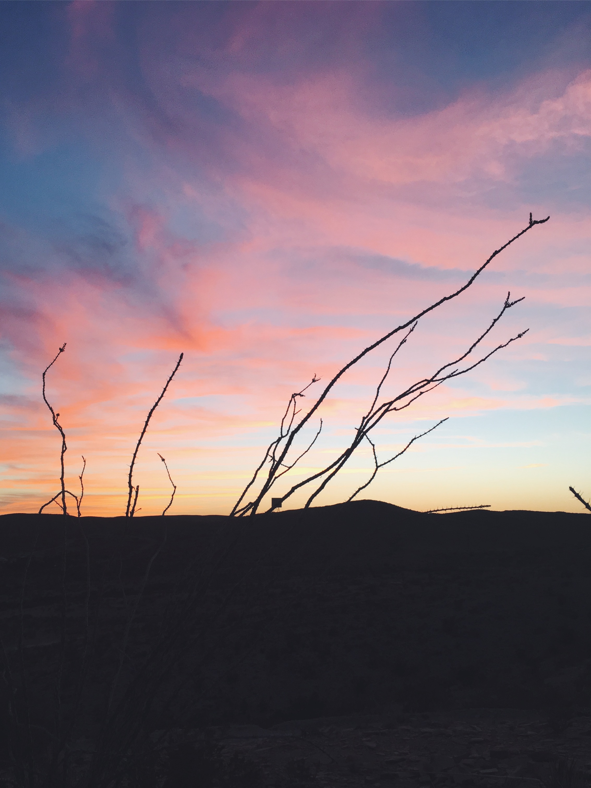 Terlingua, TX • 2.24.18