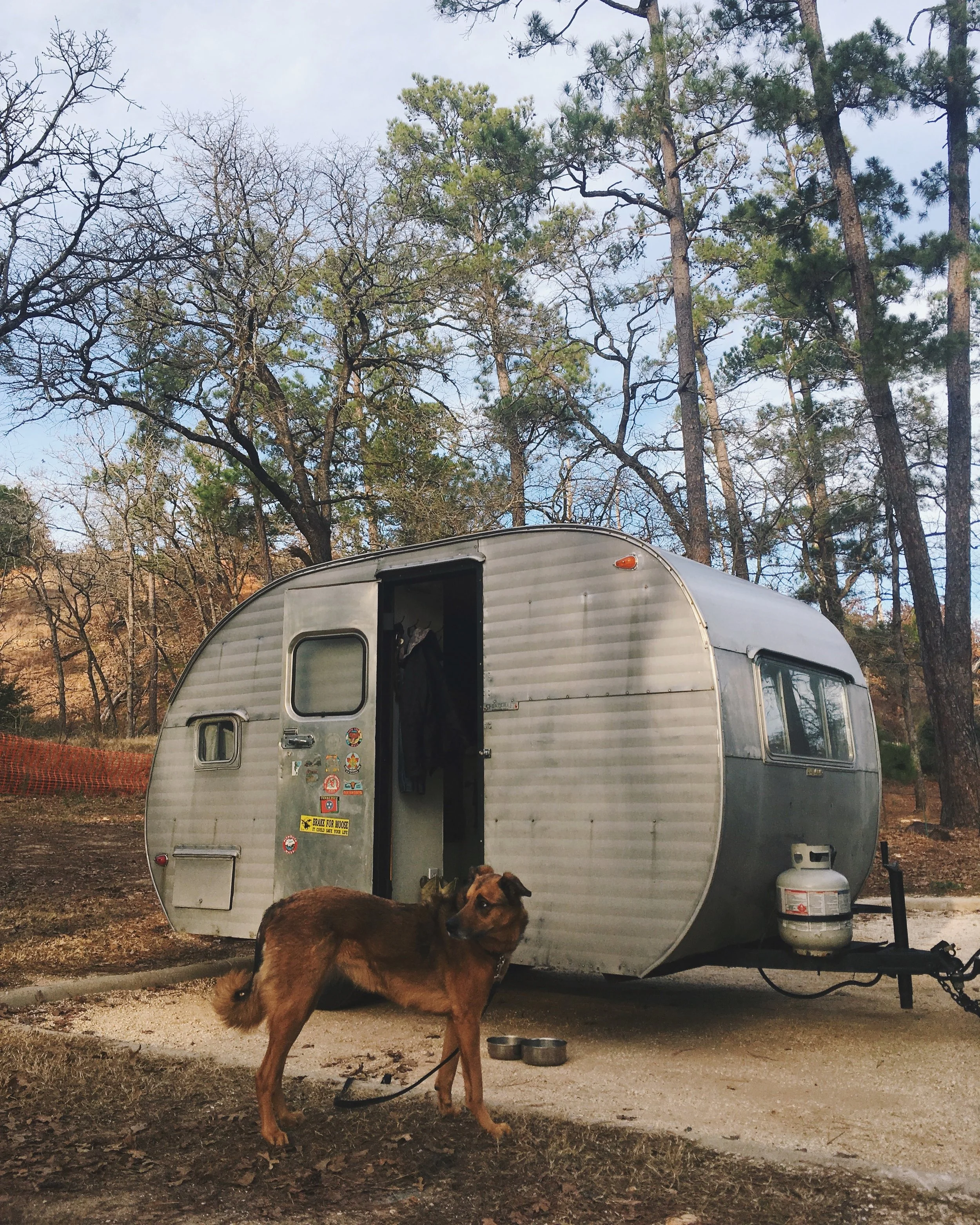  Bastrop State Park, Bastrop, TX &nbsp;•&nbsp; 1.23.18 