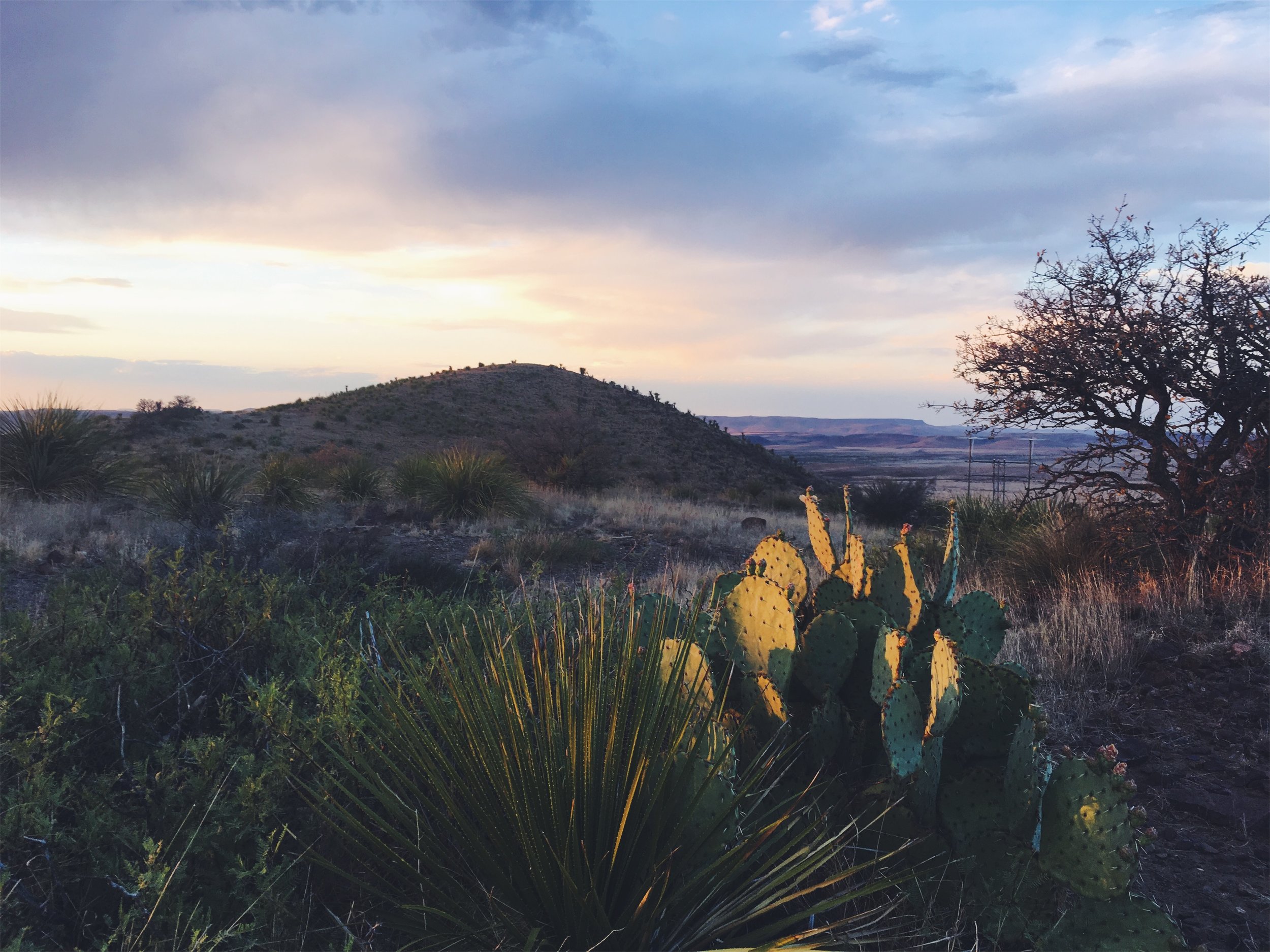 Hancock Hill, Alpine, TX • 5.8.18