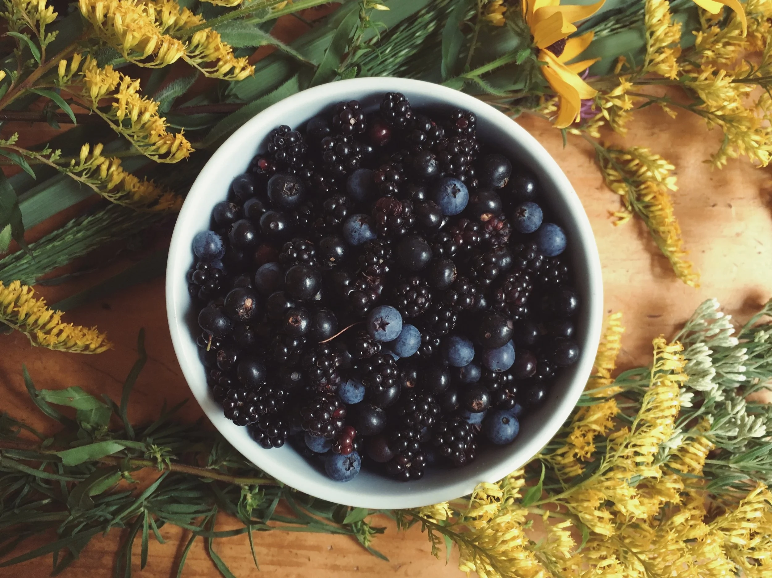  blueberries, huckleberries, blackberries + goldenrod  •  August 3, 2018 