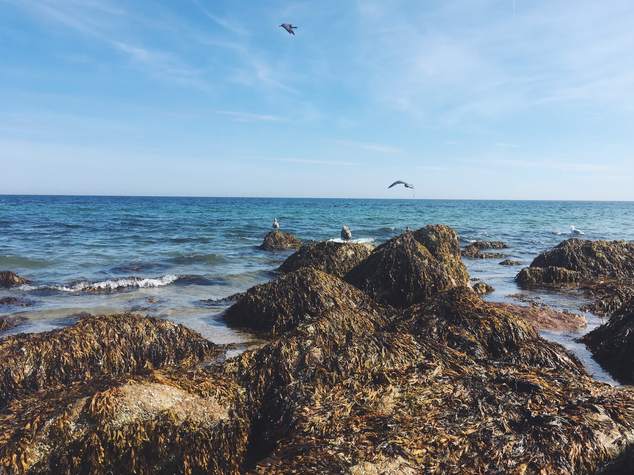 Boardwalk Beach, Sandwich, MA • September 4, 2018