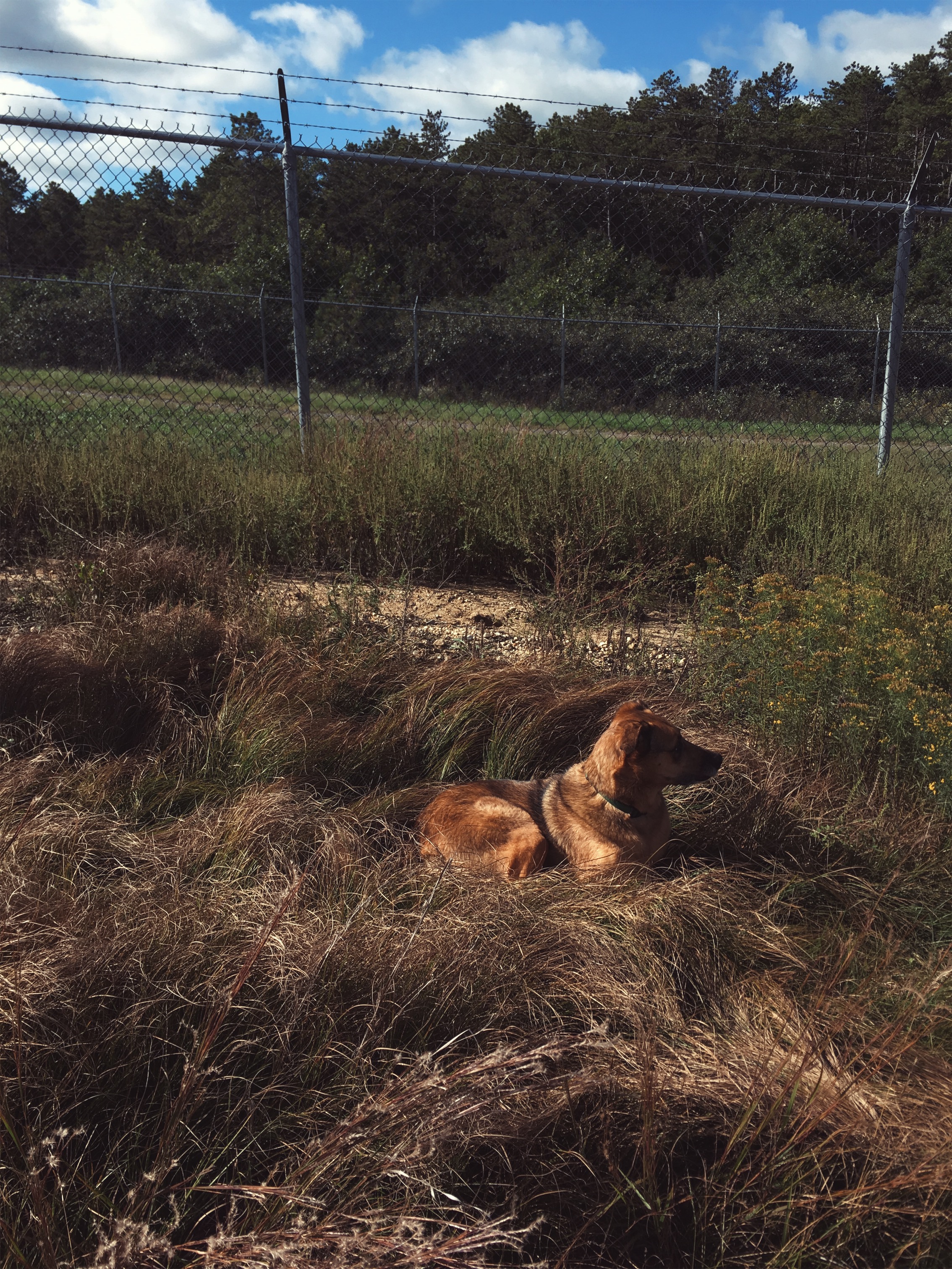 Otis Joint National Base, Mashpee, MA • September 21, 2018