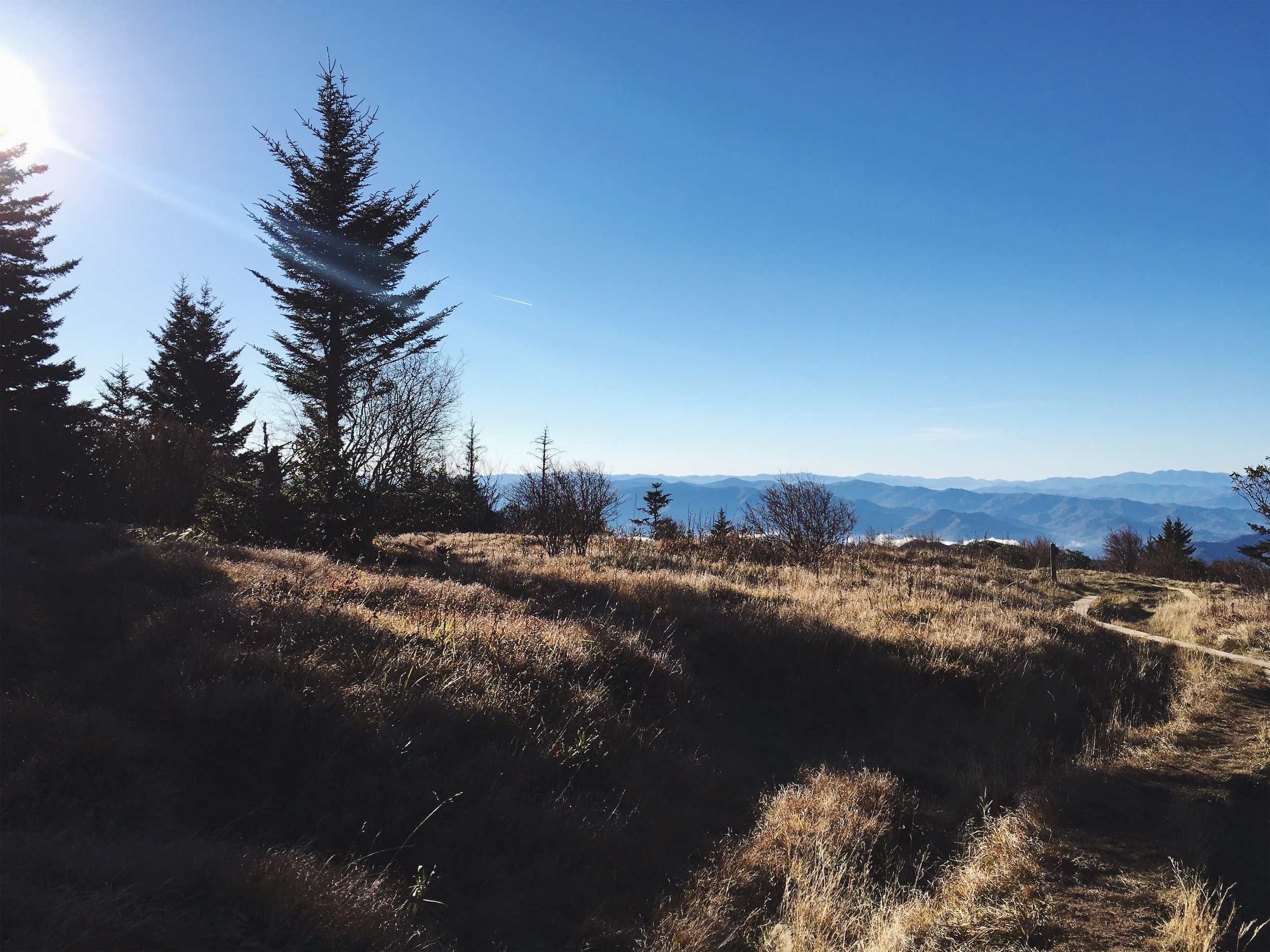 Andrews Bald, Great Smoky Mountains National Park, NC • October 30, 2018