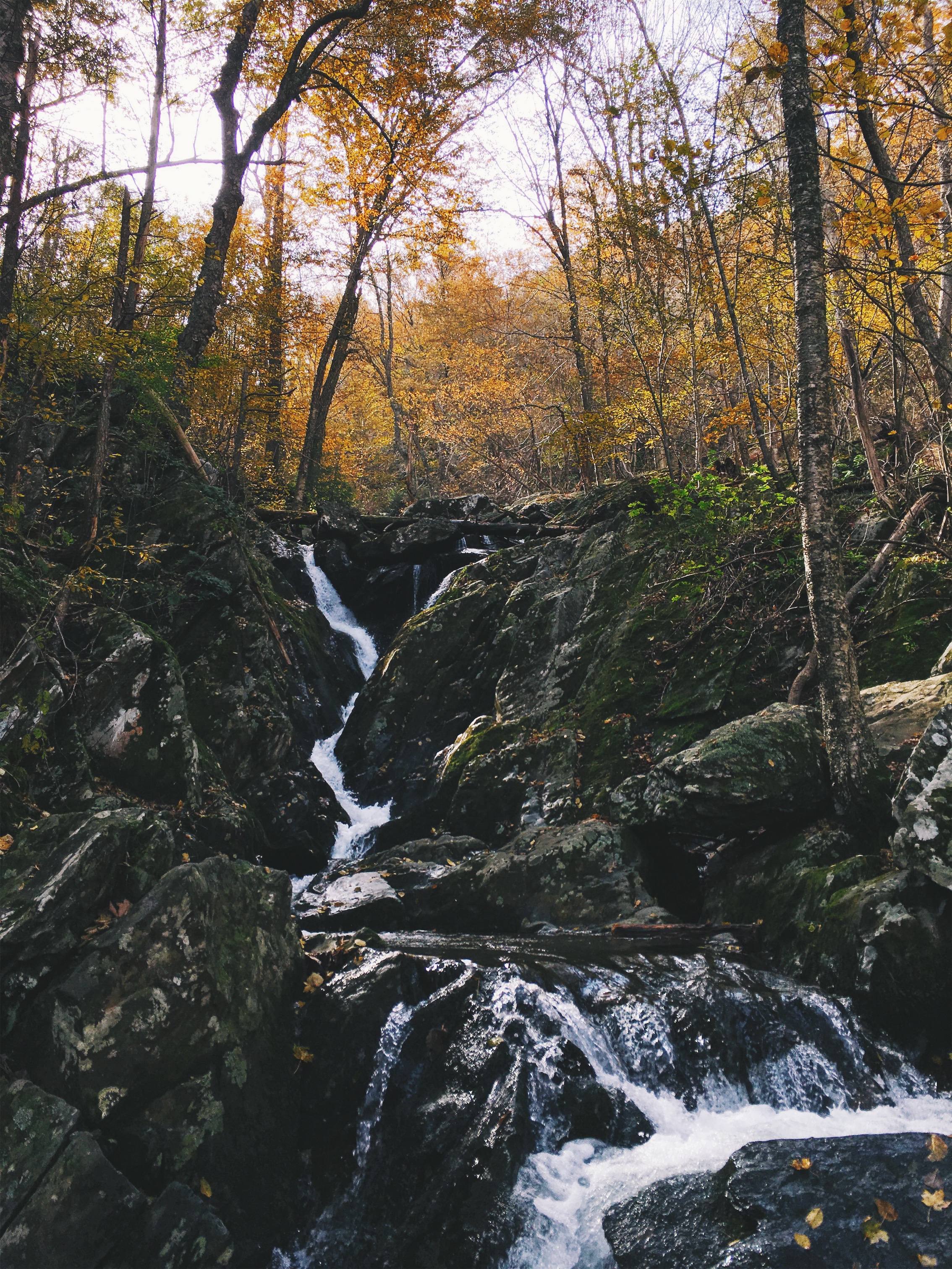 Dark Hollow Falls, Shenandoah National Park, VA • October 31, 2018