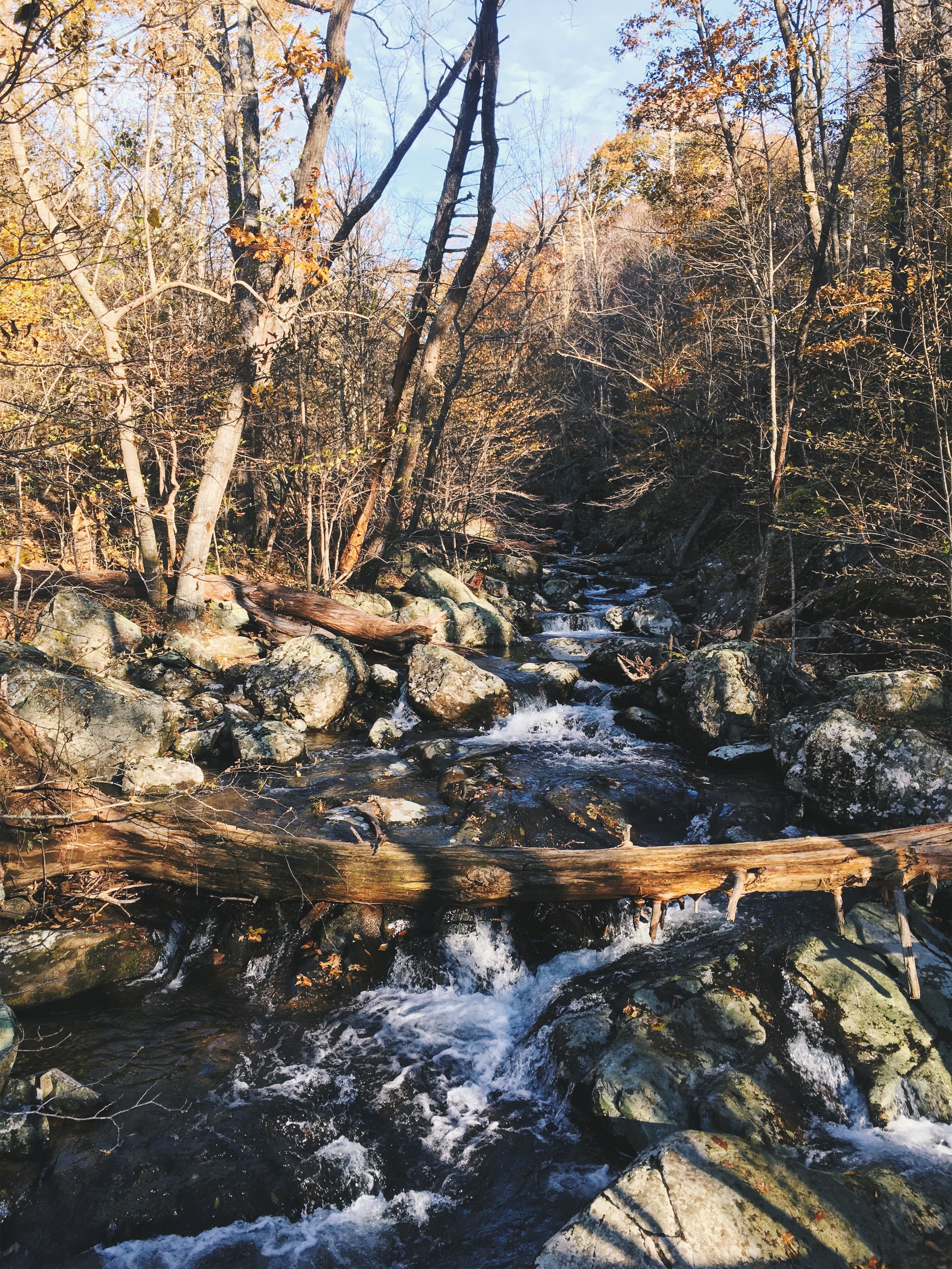Whiteoak Canyon, Shenandoah National Park, VA • November 1, 2018