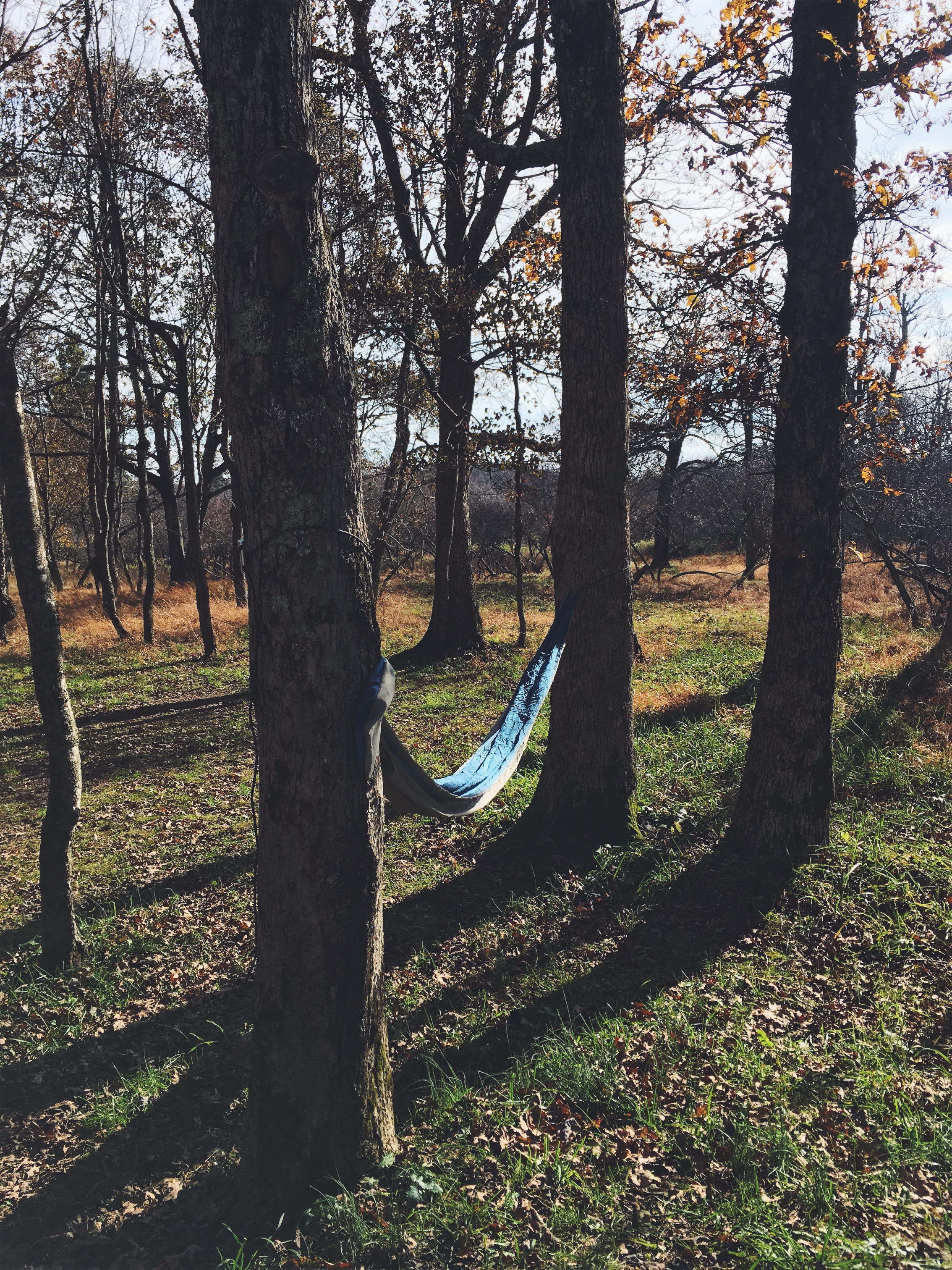 Big Meadows Campground, Shenandoah National Park, VA • October 31, 2018
