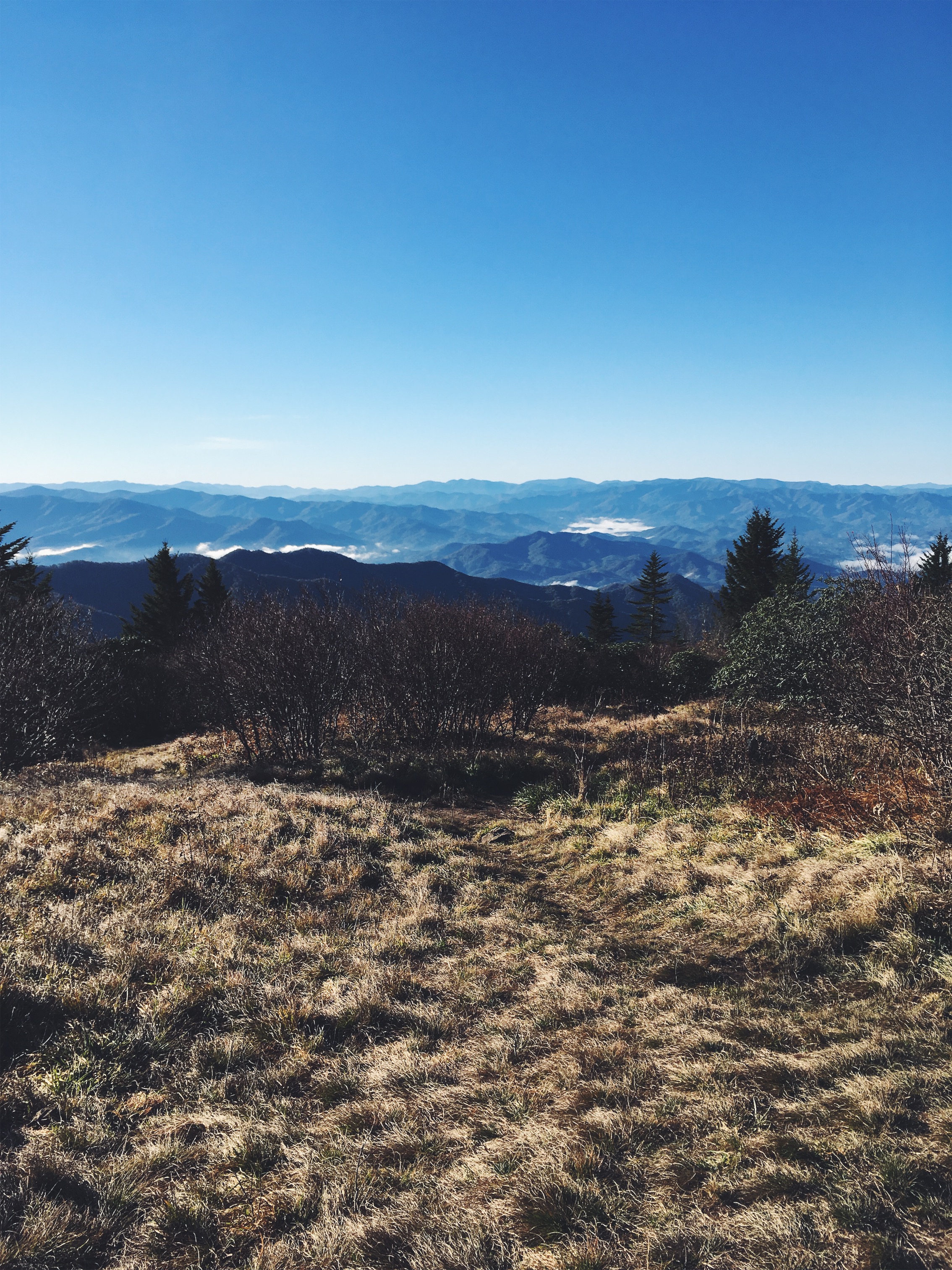 Andrews Bald, Great Smoky Mountains National Park, NC • October 30, 2018