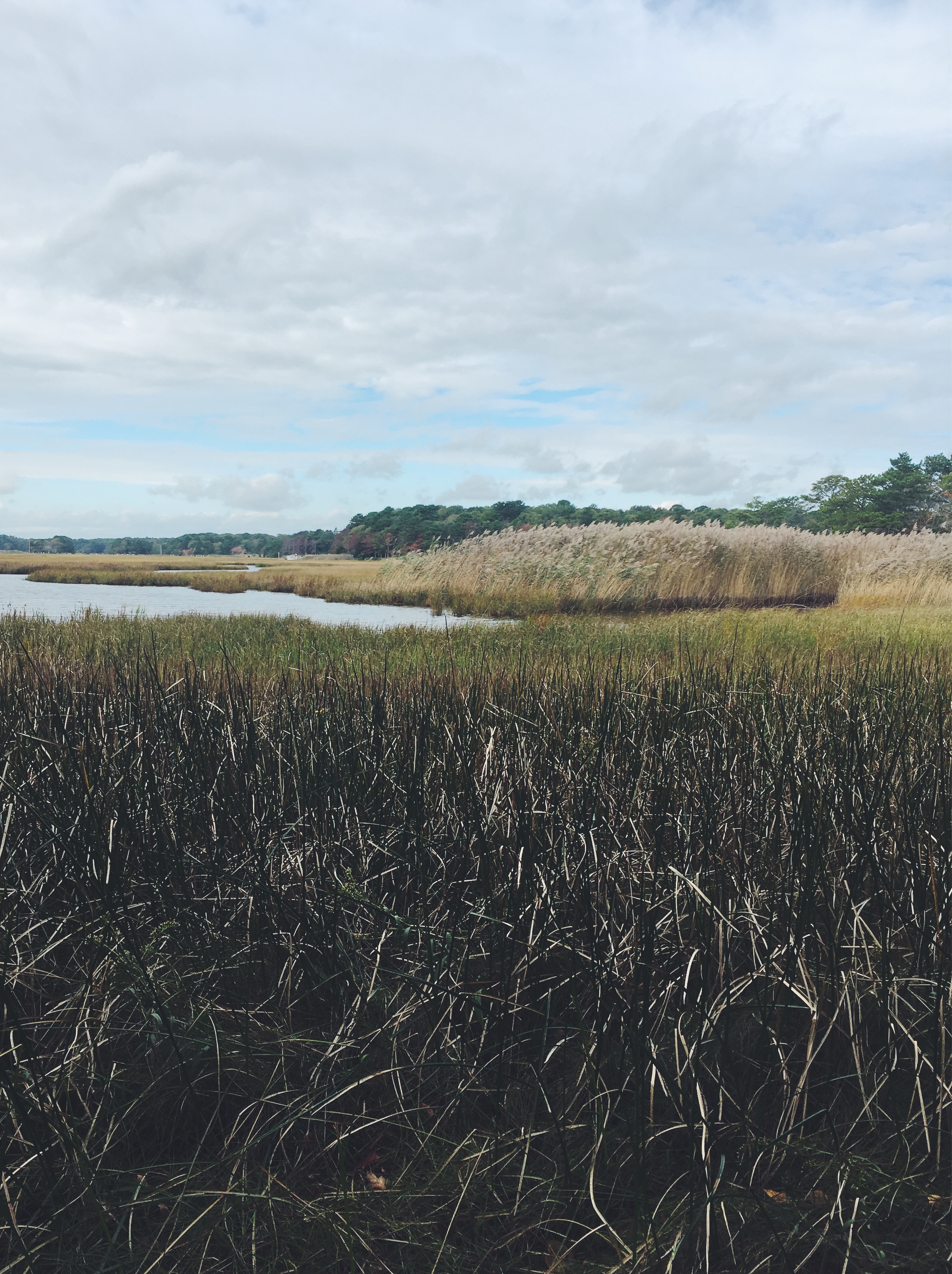 Jehu Pond, Mashpee National Wildlife Refuge, Mashpee, MA • October 20, 2018