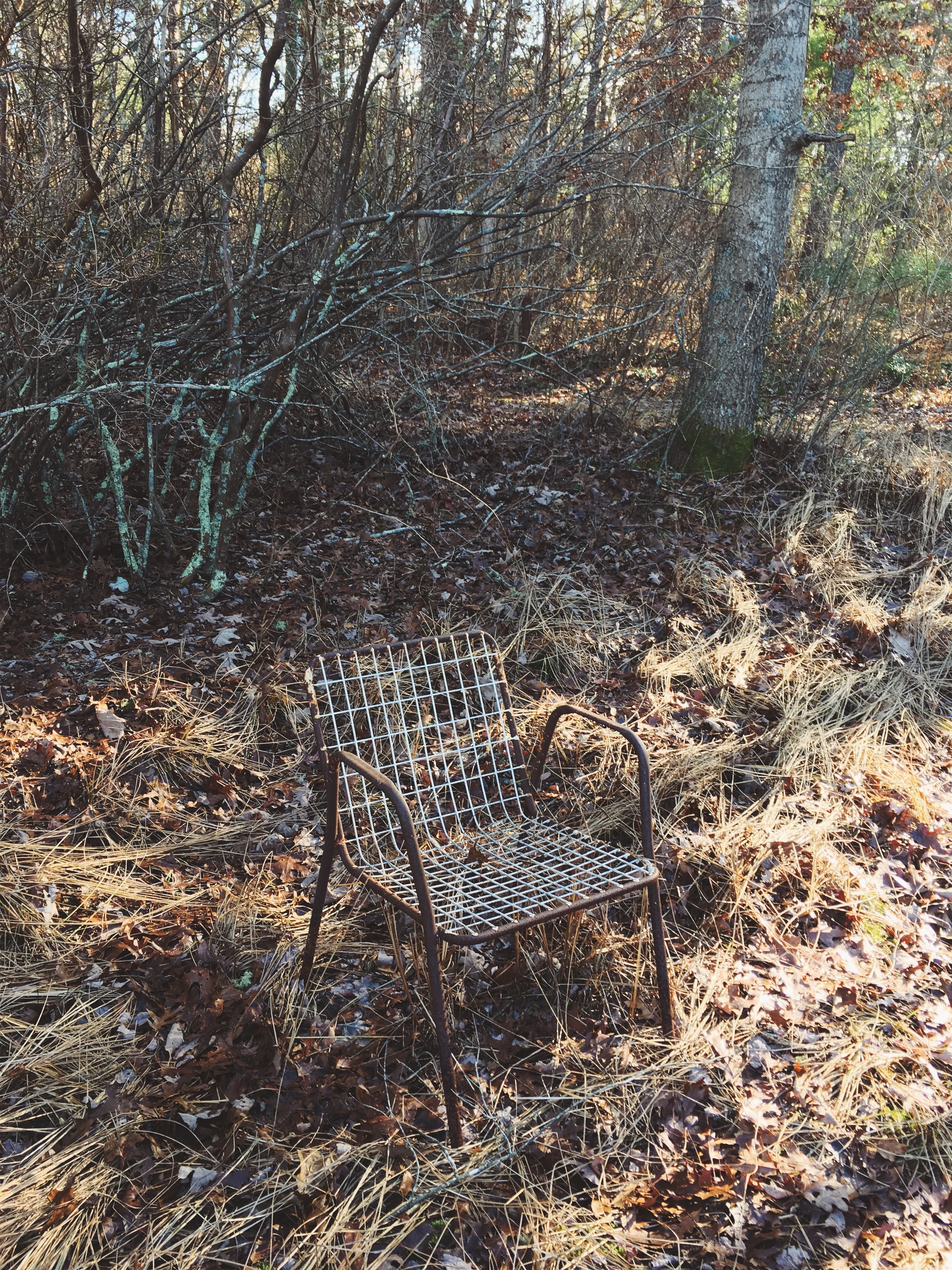 Mashpee, MA • December 5, 2018