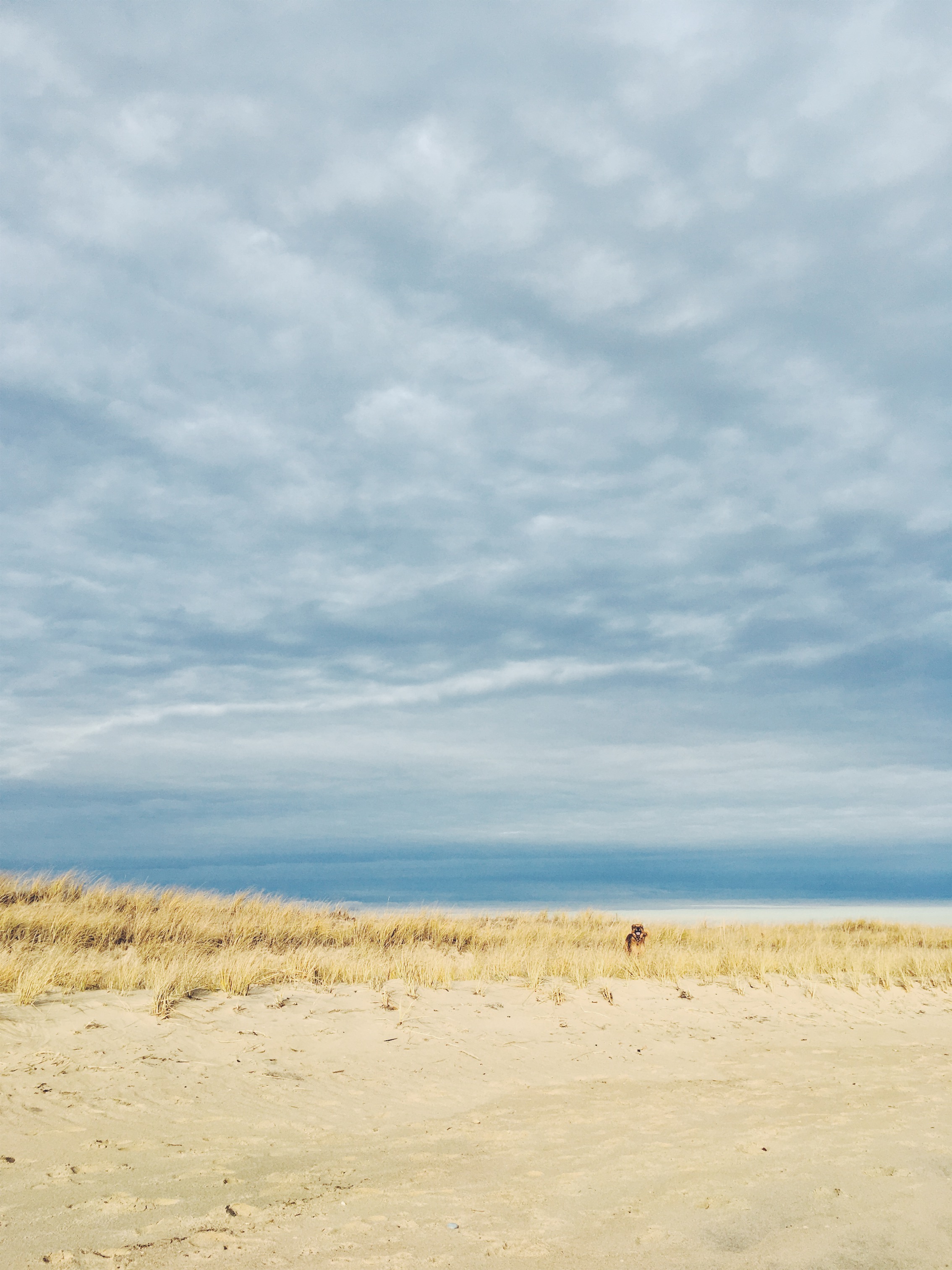 South Cape Beach, Mashpee, MA • November 30, 2018