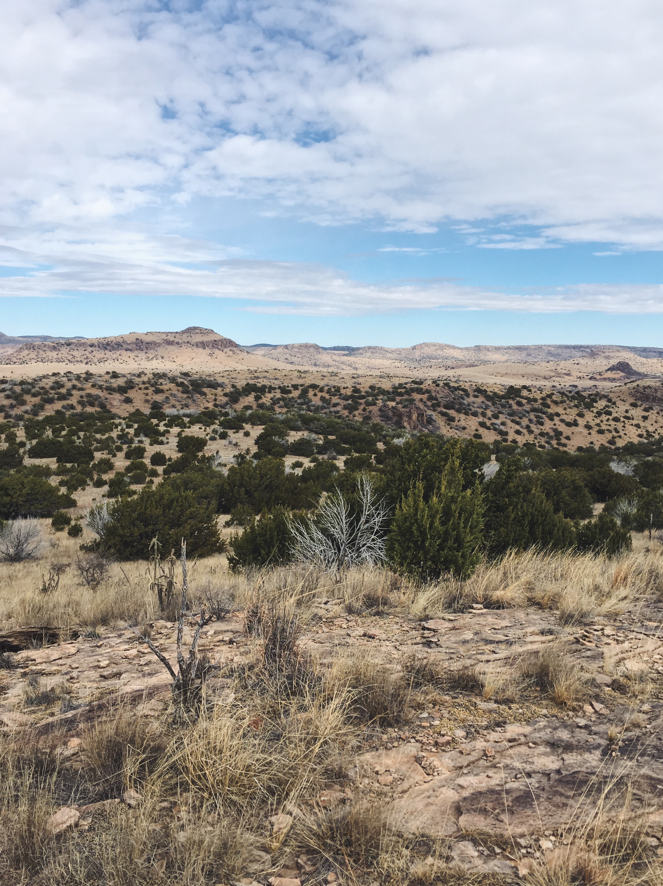 Davis Mountains State Park, Fort Davis, TX • Jan 31