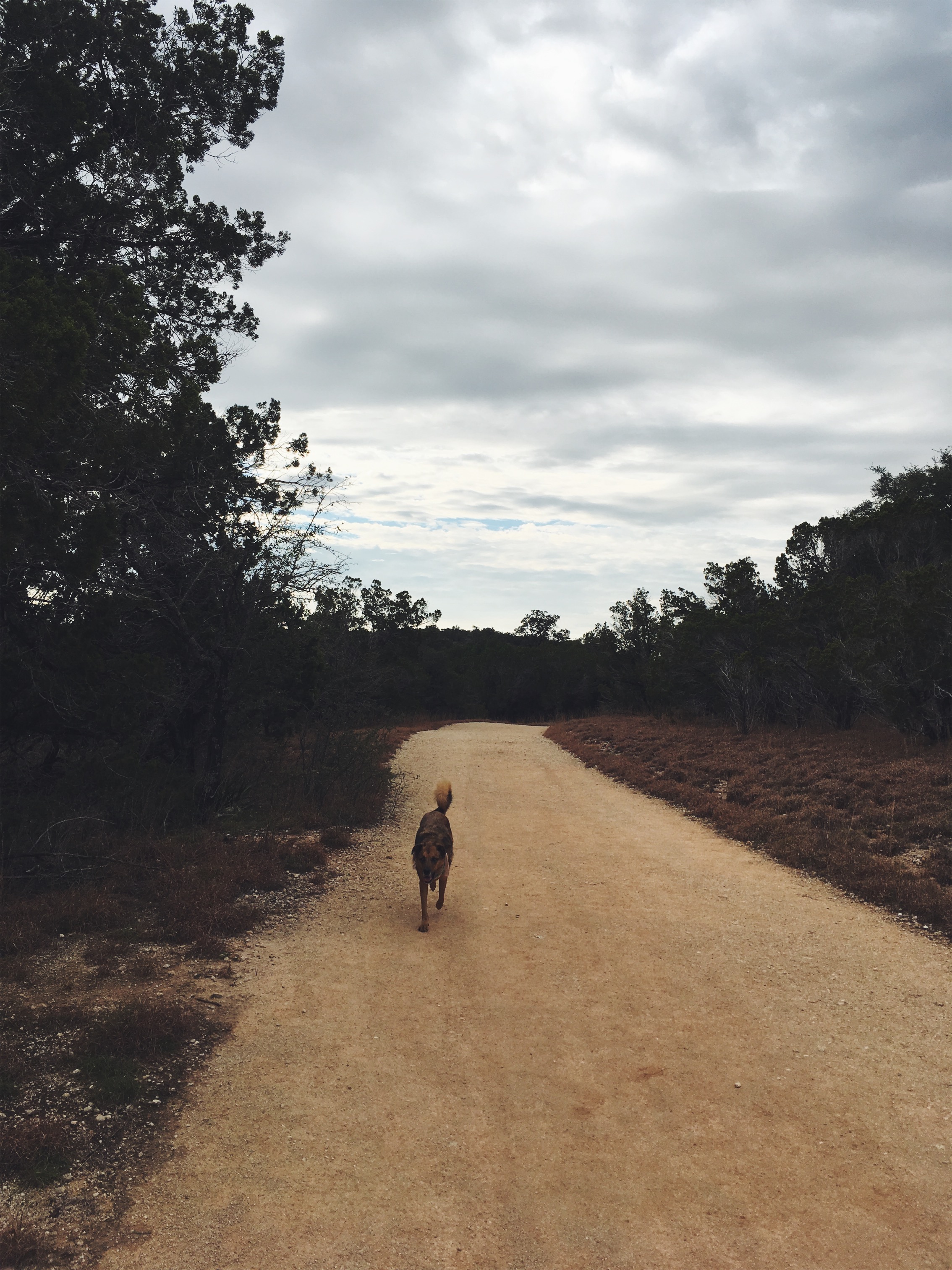 Pedernales Falls State Park, Johnson City, TX • Jan 10