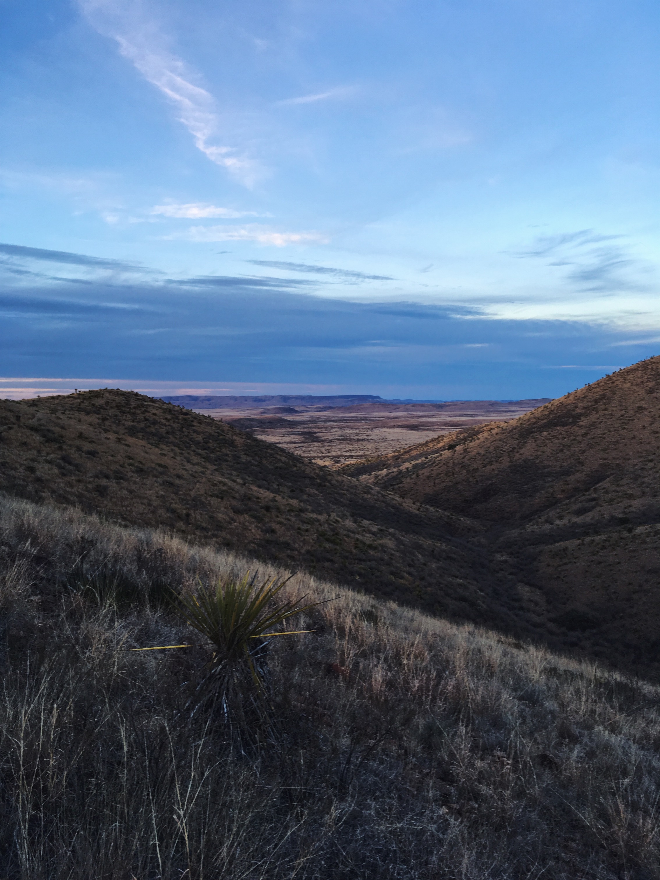 Hancock Hill, Alpine, TX • Jan 16