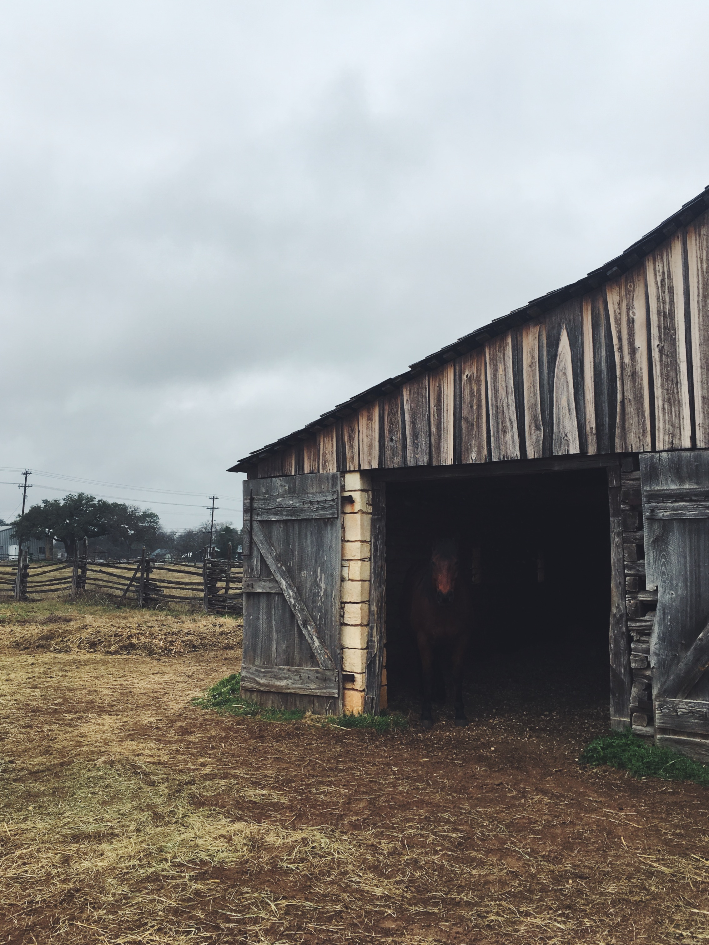 Johnson Settlement National Historic Park, Johnson City, TX • Jan 11