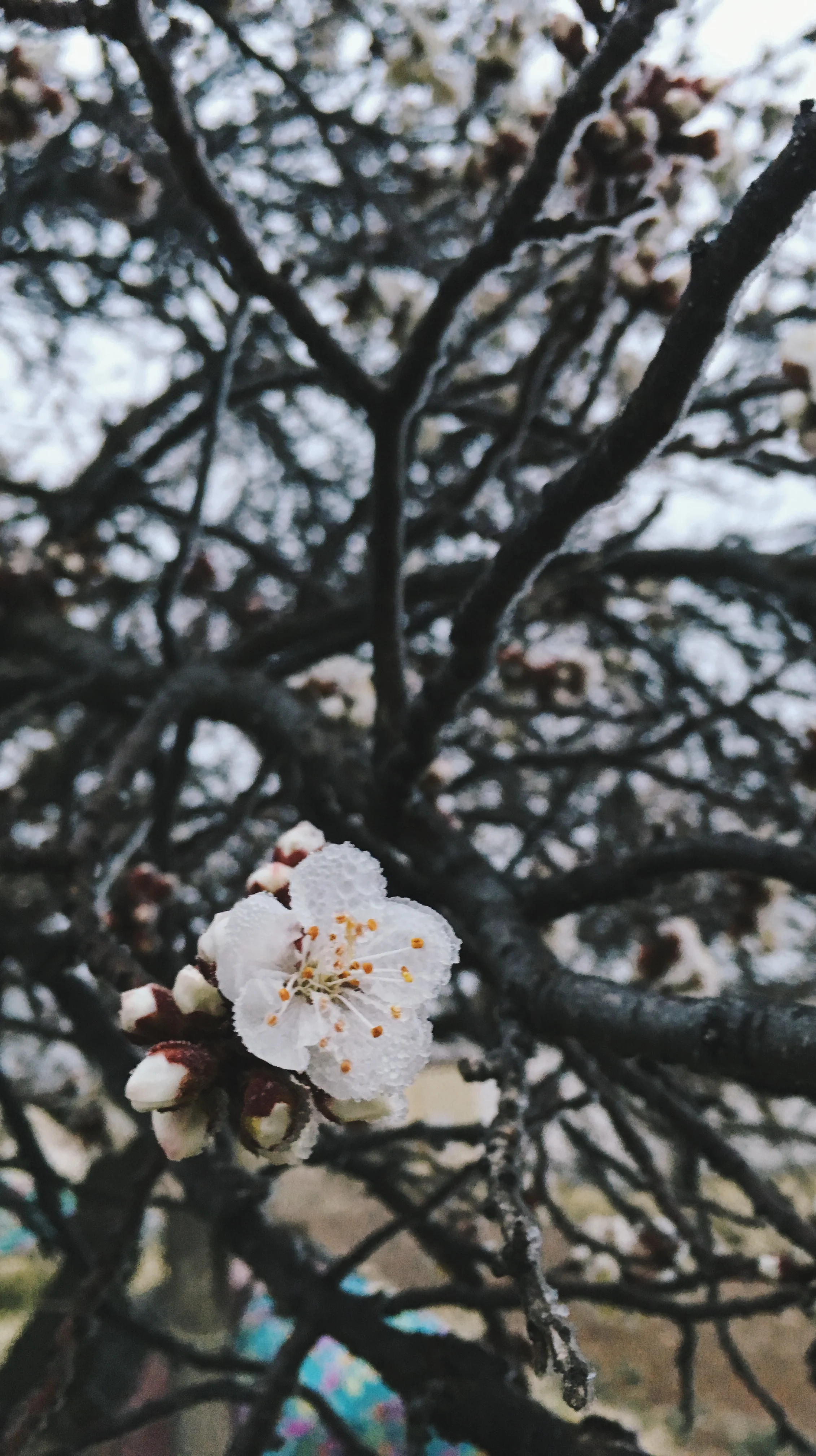  Mar 4 